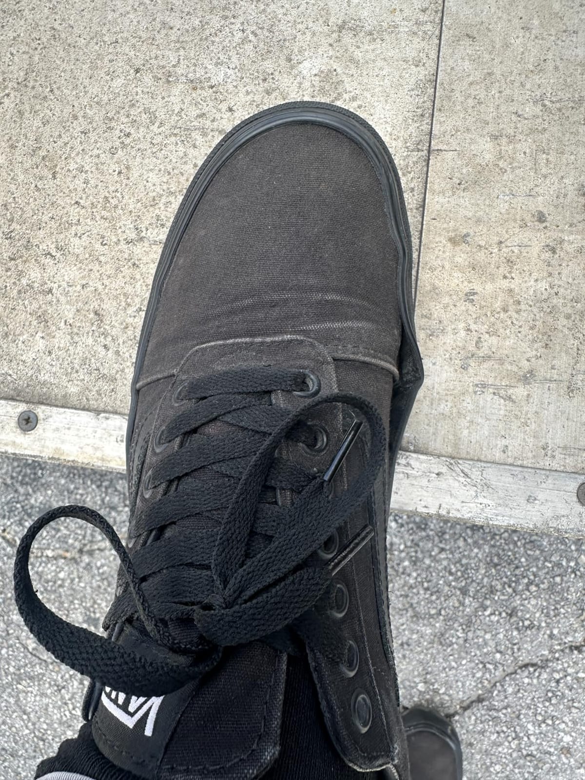Vans Ward Sneaker customer photo 1