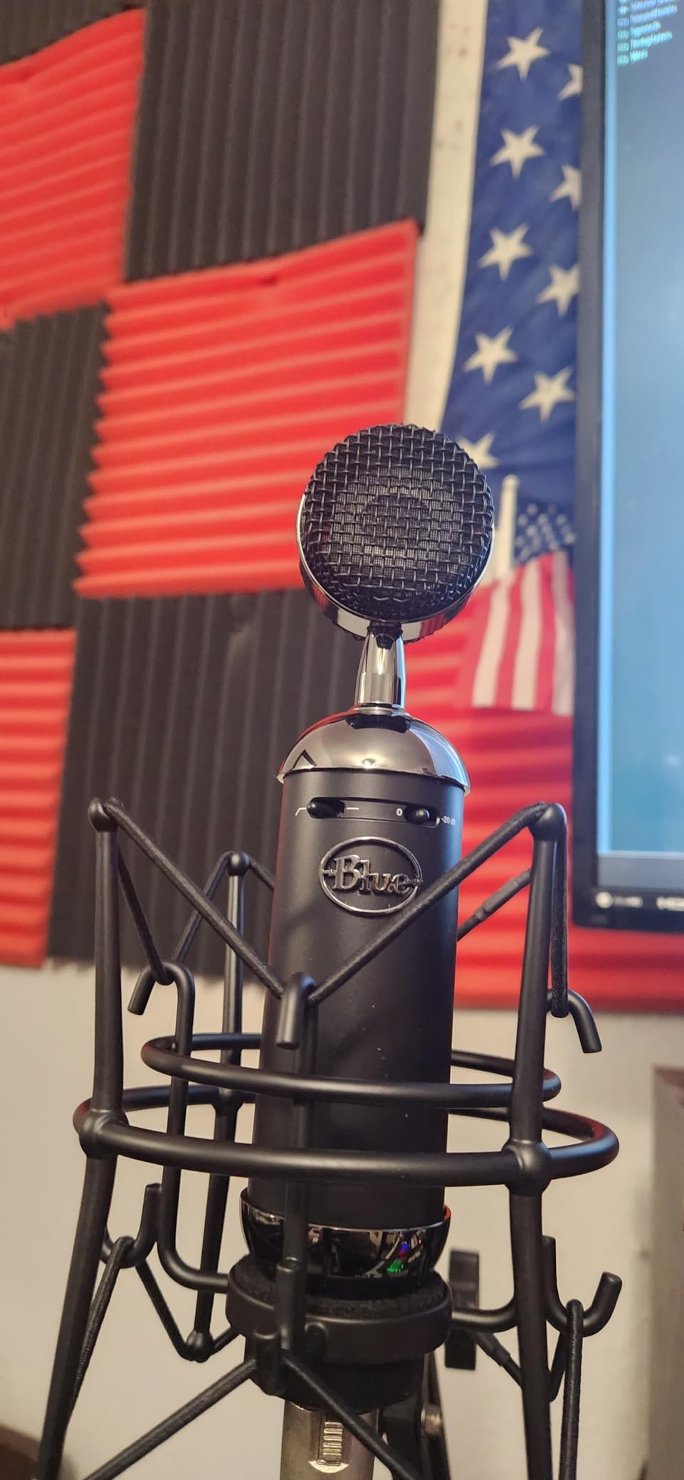 Blue Blackout Spark SL XLR Condenser Microphone for Pro Recording, Streaming, Podcasting, Gaming, with Large Diaphragm Cardioid Mic Capsule, Shockmount, Protective Case - Black customer photo 2