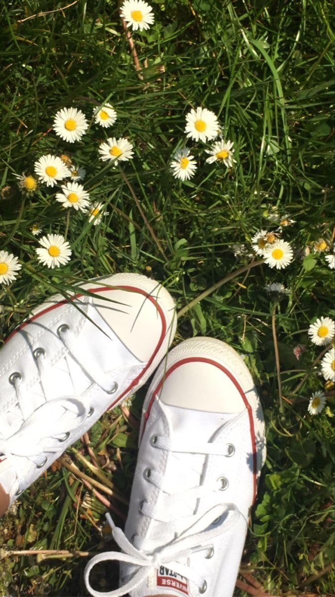 Converse Chuck Taylor All Star Low Top Sneaker customer photo 1
