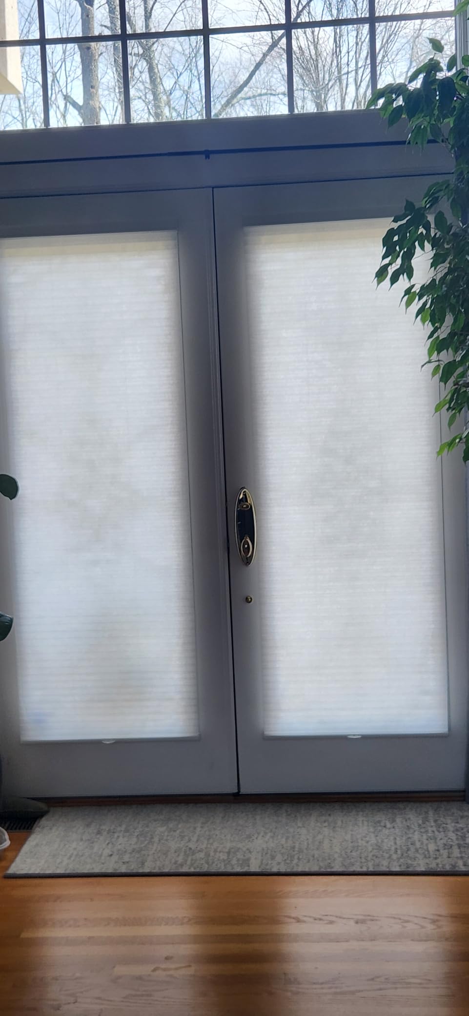 CHICOLOGY Cellular Shades - Cordless Window Blinds, Shades for Home & Doors - Morning Mist, 46