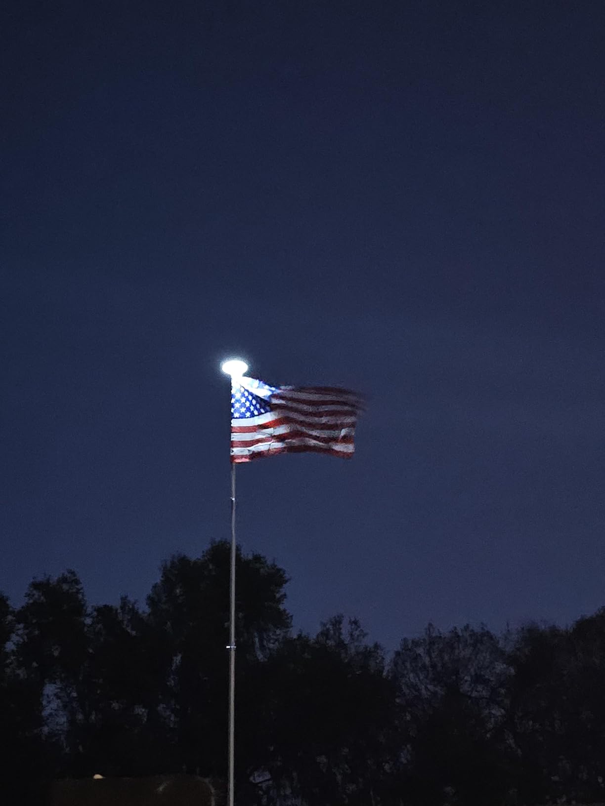 25FT Telescopic Flag Pole with Solar Lights - Outdoor Flagpole Kit customer photo 2