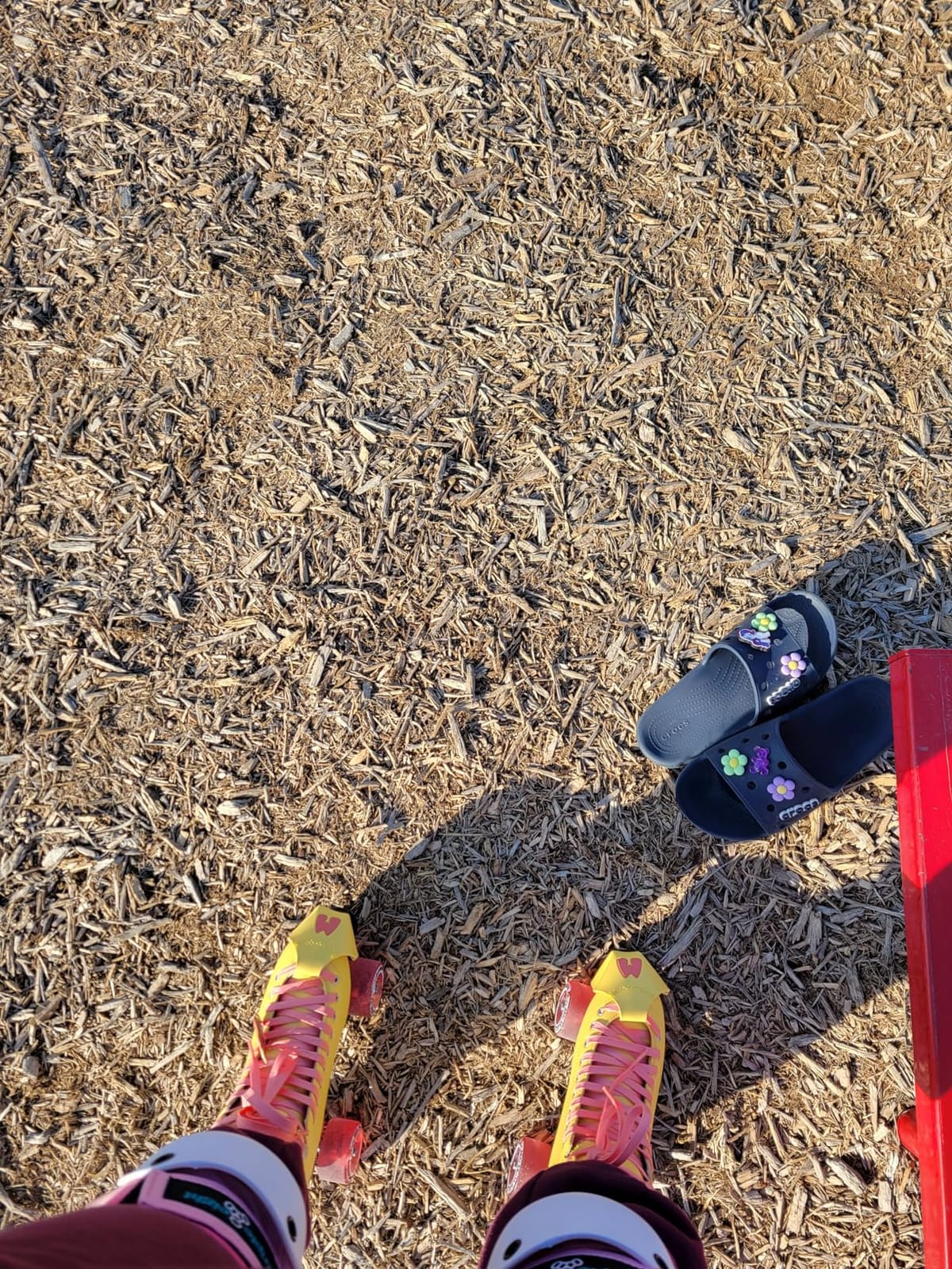 Moxi Beach Bunny Roller Skates for Women - Colorful, Precision-Fit Skate with High-Rebound Wheels, Moisture-Wicking Lining & Padding, Roller Skates customer photo 1