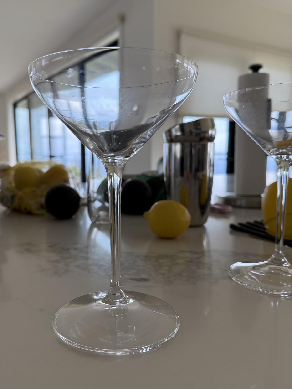 Riedel Extreme Martini Glass, Set of 2, Dishwasher Safe (4441/17) customer photo 2