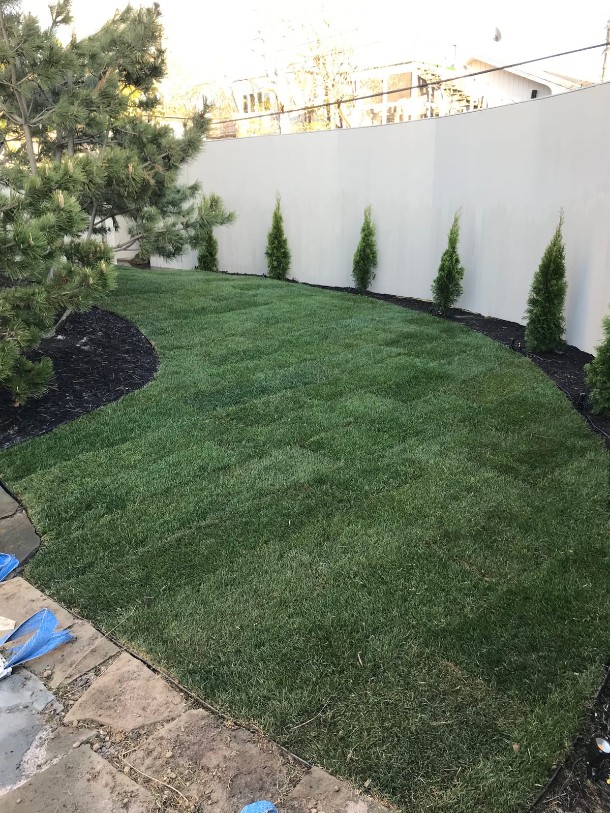 Keyfit Tools SOD Knife Professional Contractor Grade 304 Stainless Steel Blade Sod Cutter Trim New Sod Edging Beds Overgrown Valve Box Sprinkler Heads Like Hunter PGP Raise Repair Remove Sprinklers customer photo 2