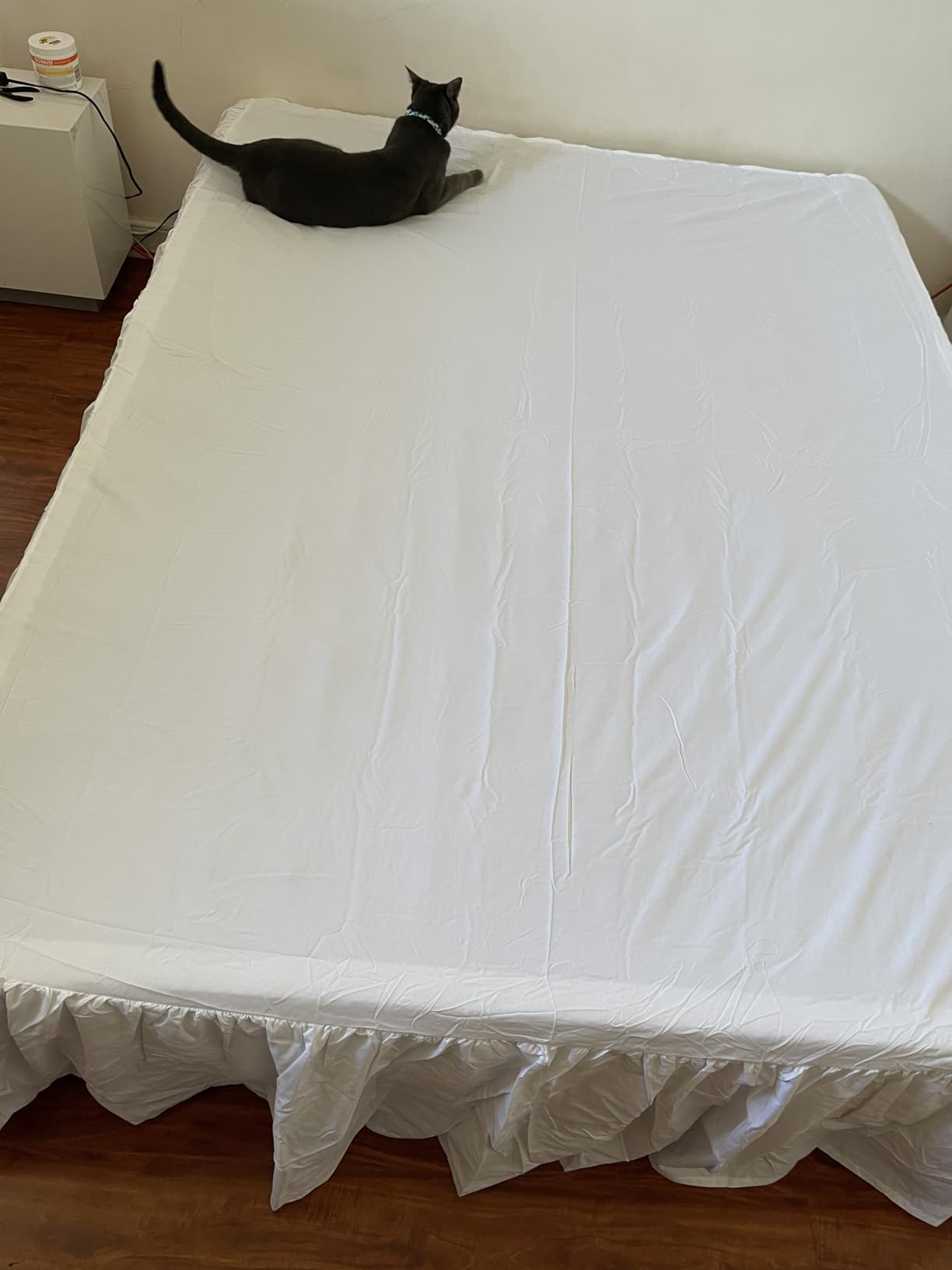 Amazon Basics Lightweight Ruffled Bed Skirt, Classic Style, Soft and Stylish 100% Microfiber with 16