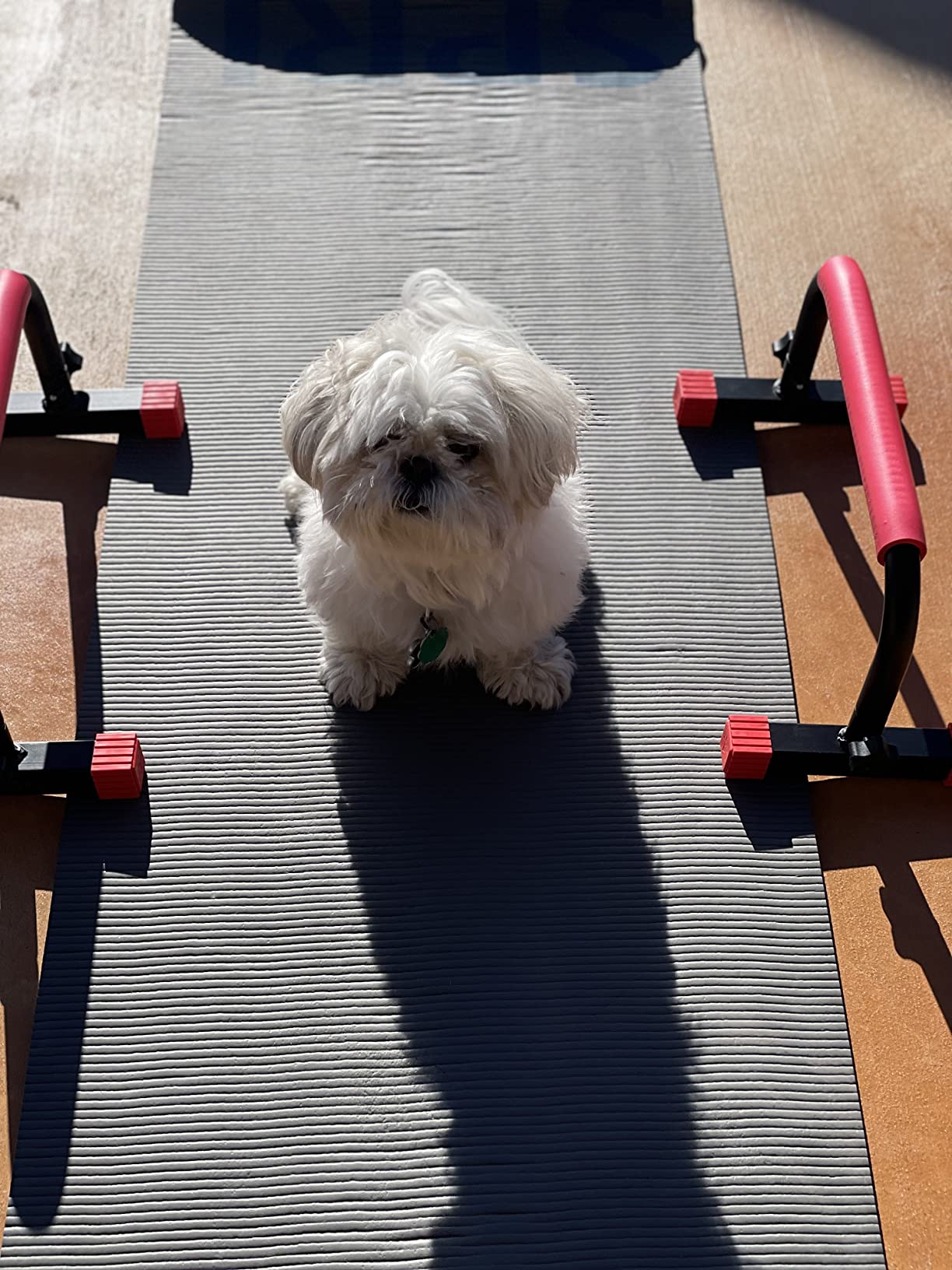 Parallette, Parallel Bars & Dip Station | At Home Gym Workout Equipment, L-Sit Bars & Calisthenics Equipment for Home. Perfect for Push Ups, Dips, Handstands & Gymnastics. customer photo 2