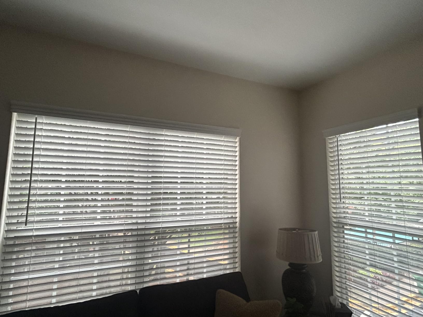 ARLO BLINDS 2