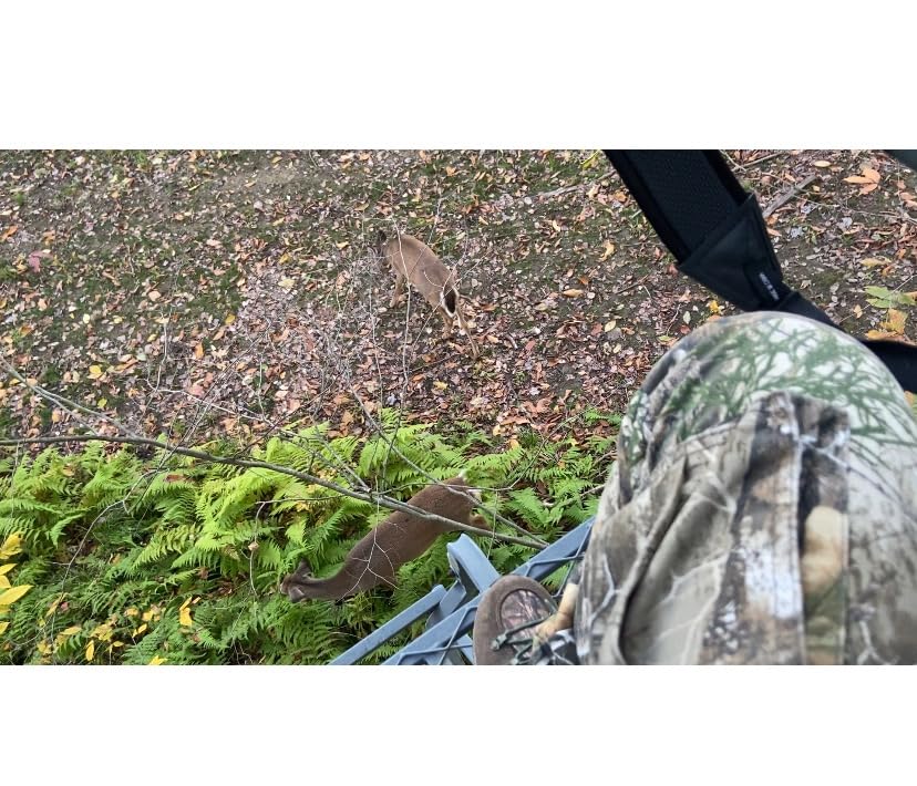 Primos Hunting The Original CAN Deer Estrus Bleat Call - Estrus Doe Bleat, Attracts Whitetail, Blacktail & Mule Deer, Pre-Rut Through Post-Rut customer photo 2