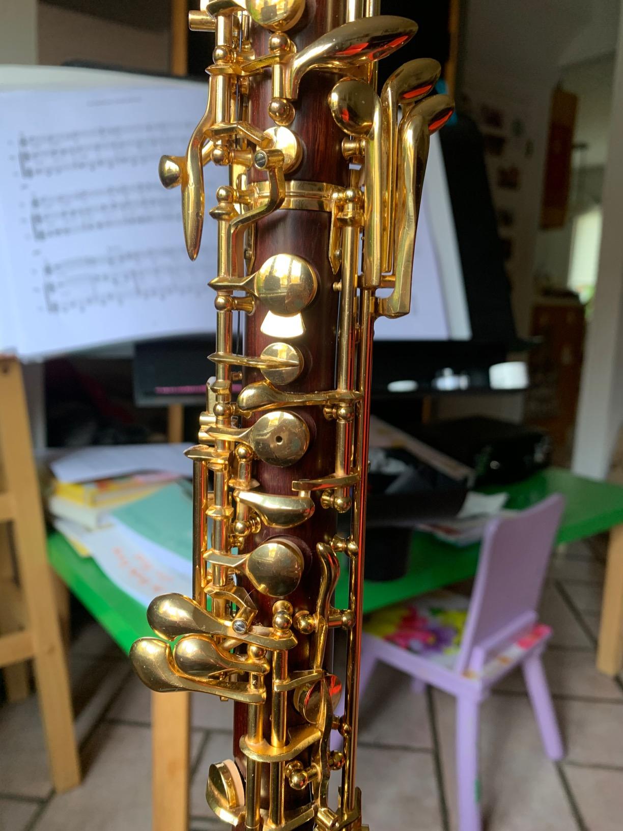 Yinfente Professional Oboe Gold Plated Rosewood C Key Left F Resonance Semi-Automatic Woodwind Instrument customer photo 1