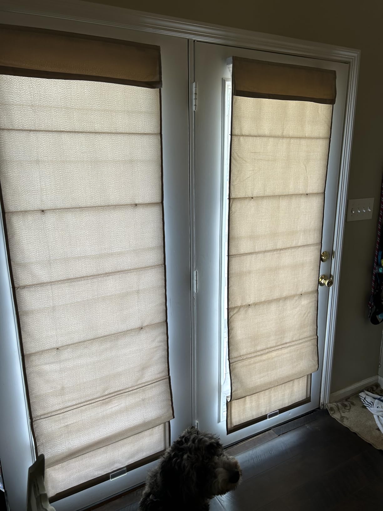 Chicology Cordless Roman Window Shade, Belgian Flax, 29