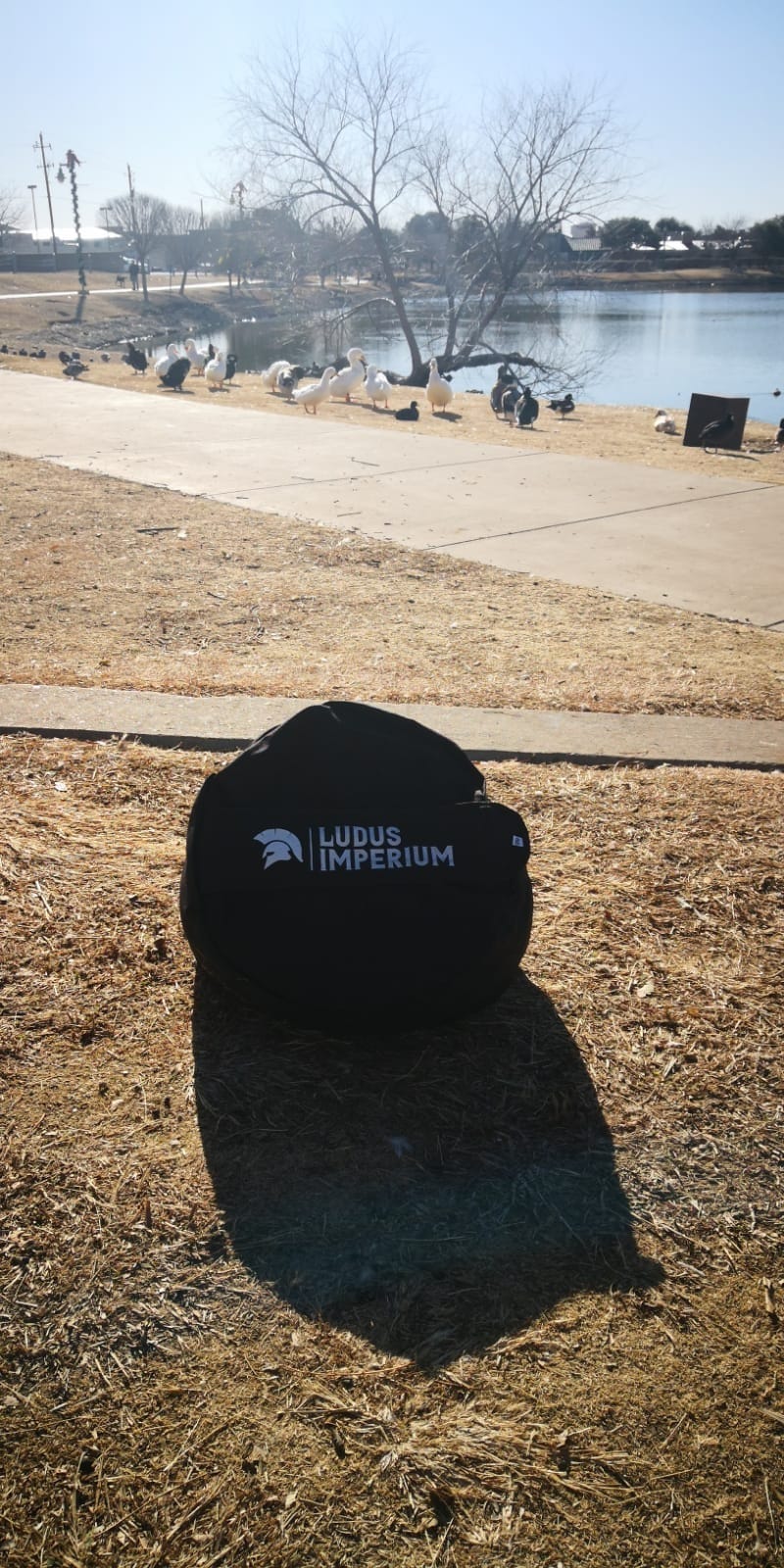 Training Sandbag, Heavy Duty Workout Sandbags for Training, Fitness, Cross-Training & Exercise, Workouts, Sandbag Weights customer photo 1