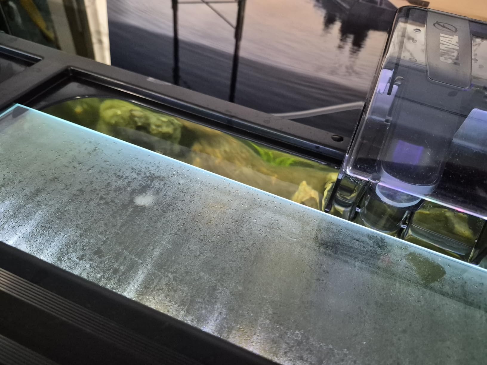 H2Pro 48x18 Glass Canopy 2 Piece Set for 70/75/90/110 Gallon Aquarium Fish Tank (22.68 x 16.93 x 0.16in) customer photo 2