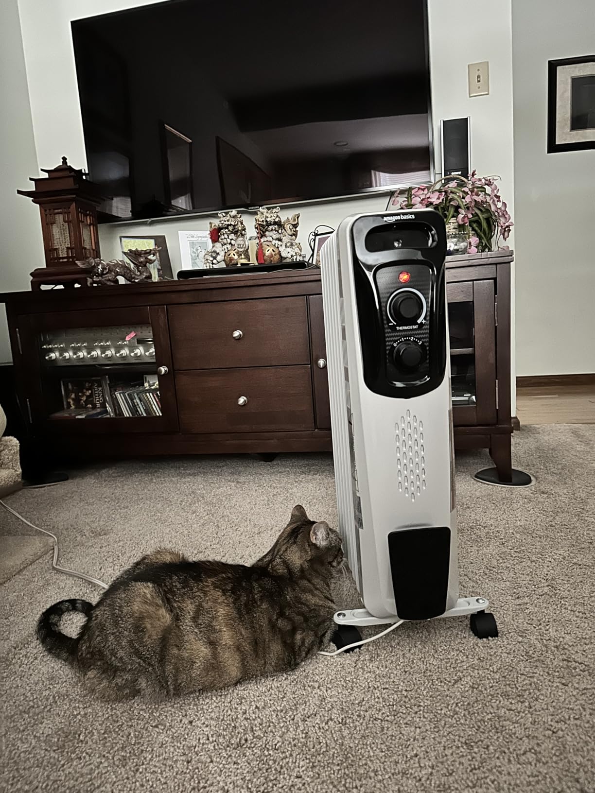 Amazon Basics Portable Oil Radiator Heater, Indoor Use, 3 Heat Settings, Over-Heat Protection, ETL-certified Safety, 7 Oil-Filled Steel Fins, 1500W, Tip-Over Protection, 11