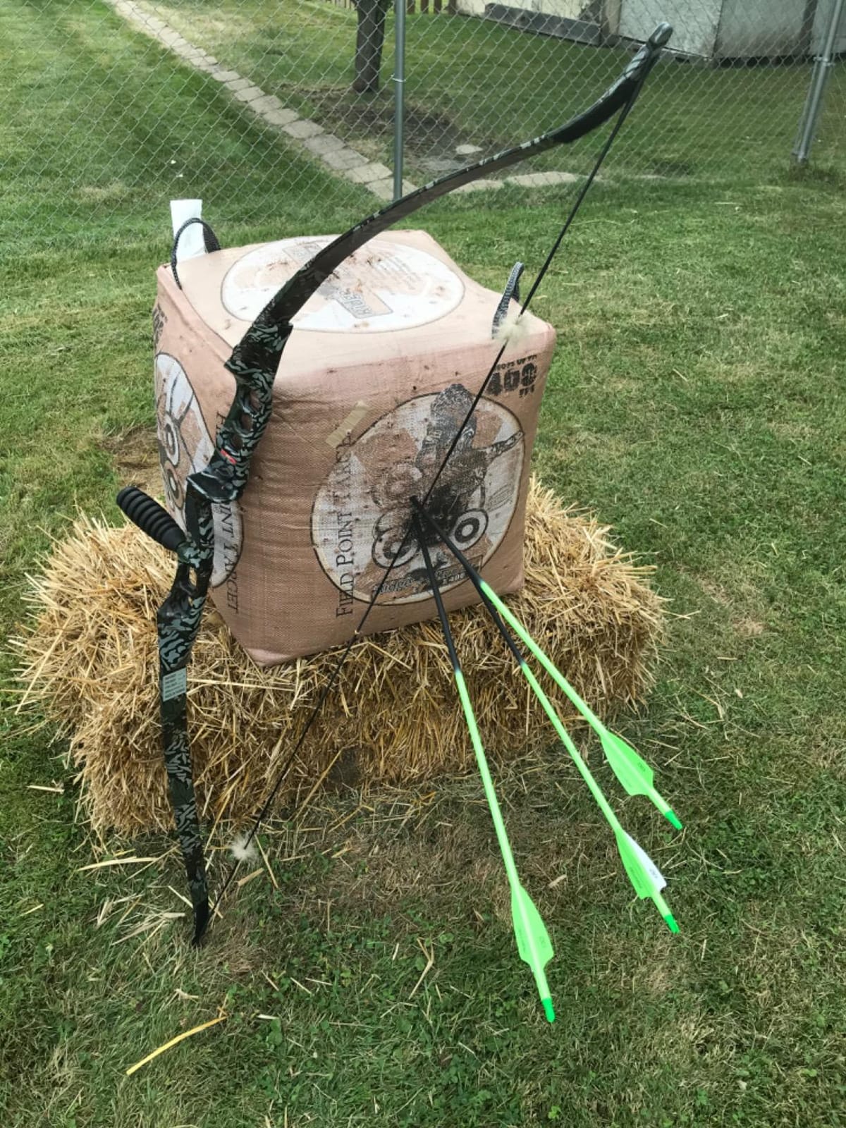 30inch Carbon Arrow Fluorescence Color Targeting and Practice and Hunting Arrows for Compound Bow and Recurve Bow with Removable Tips(Pack of 12) customer photo 2