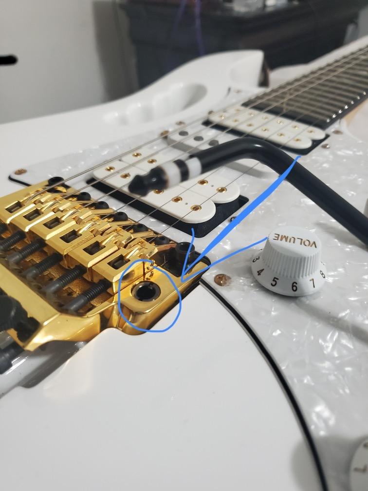 Ibanez Steve Vai Signature Premium JEM7VP - White customer photo 1