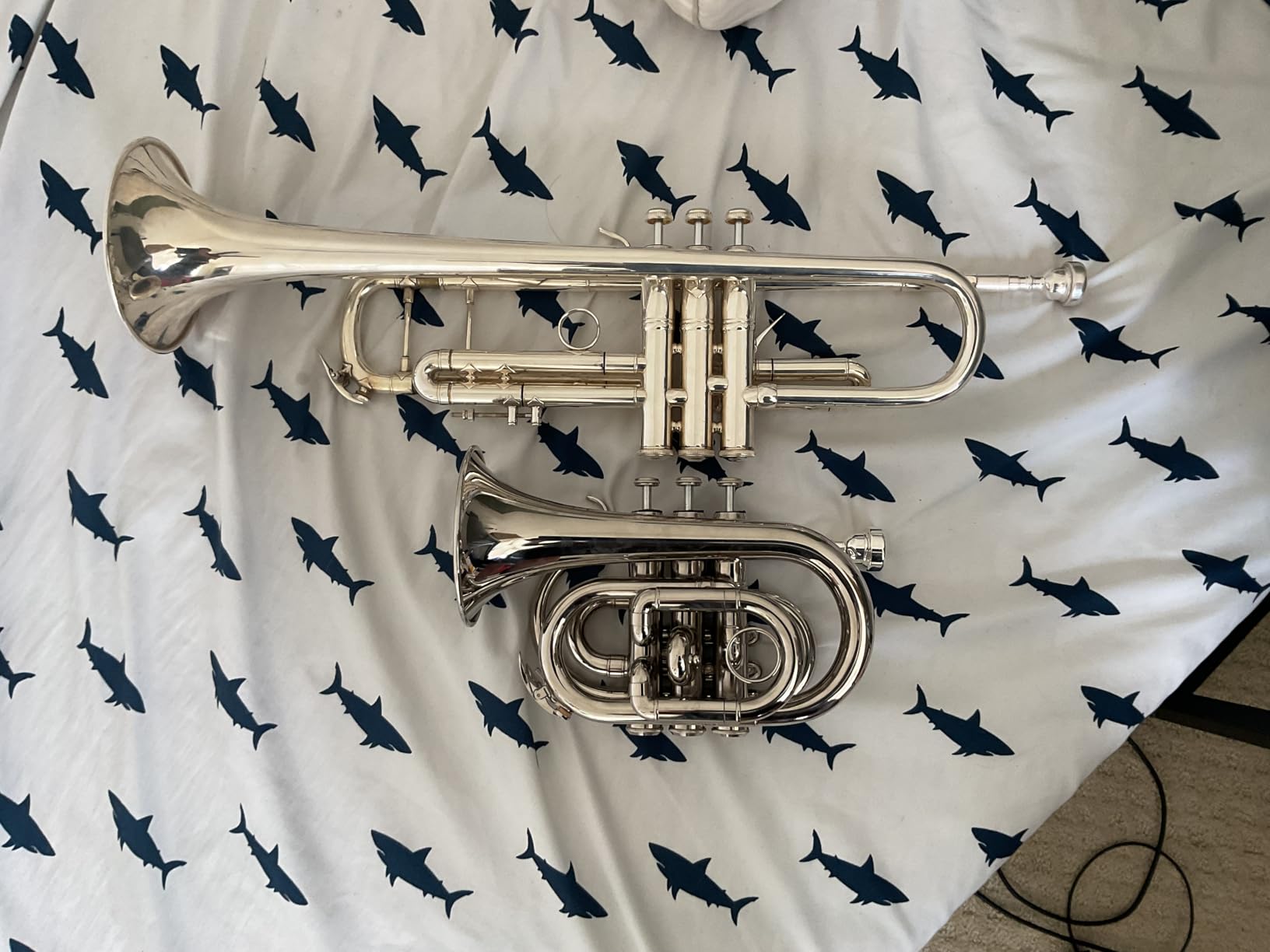 Eastar Bb Pocket Trumpet Brass, Golden, Case Full Kit, ETR-330 customer photo 2