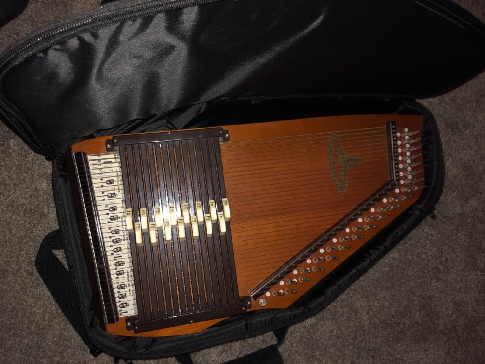 Autp Harp Gig Bags, Padded, Black (AC545) Autoharp Case customer photo 2