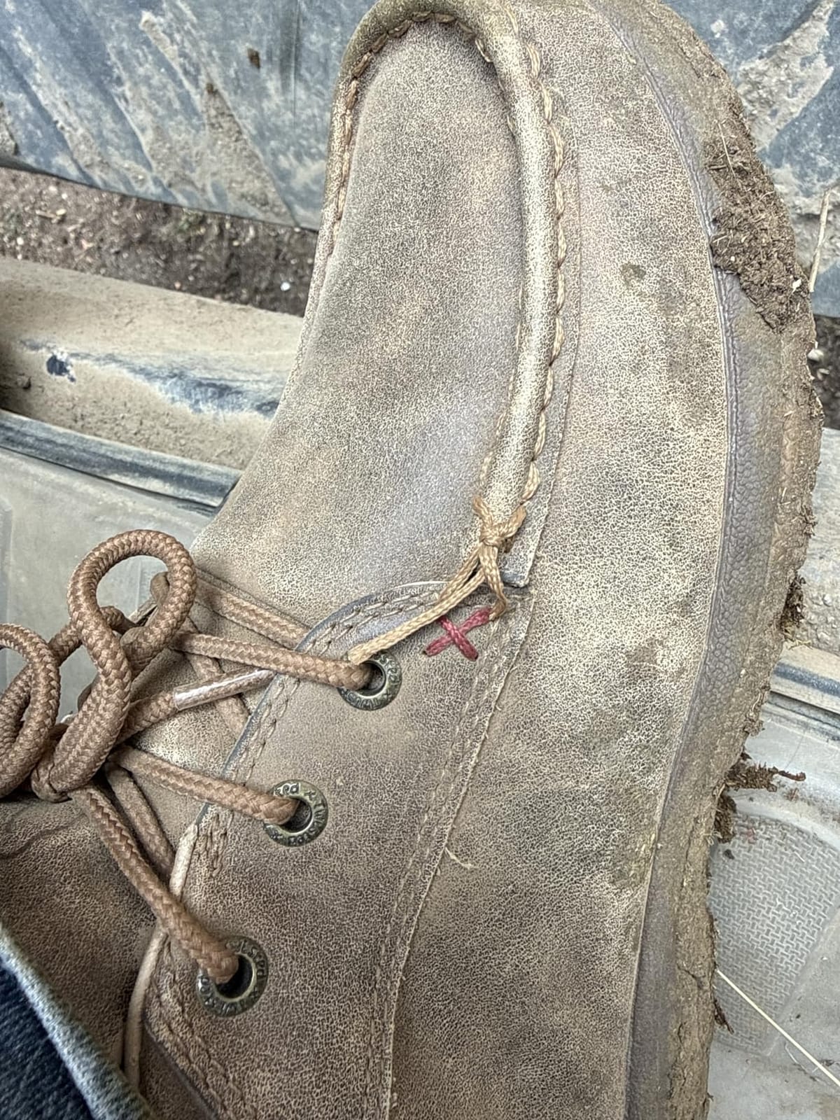 Twisted X Womens Chukka Driving Moc Shoe customer photo 2