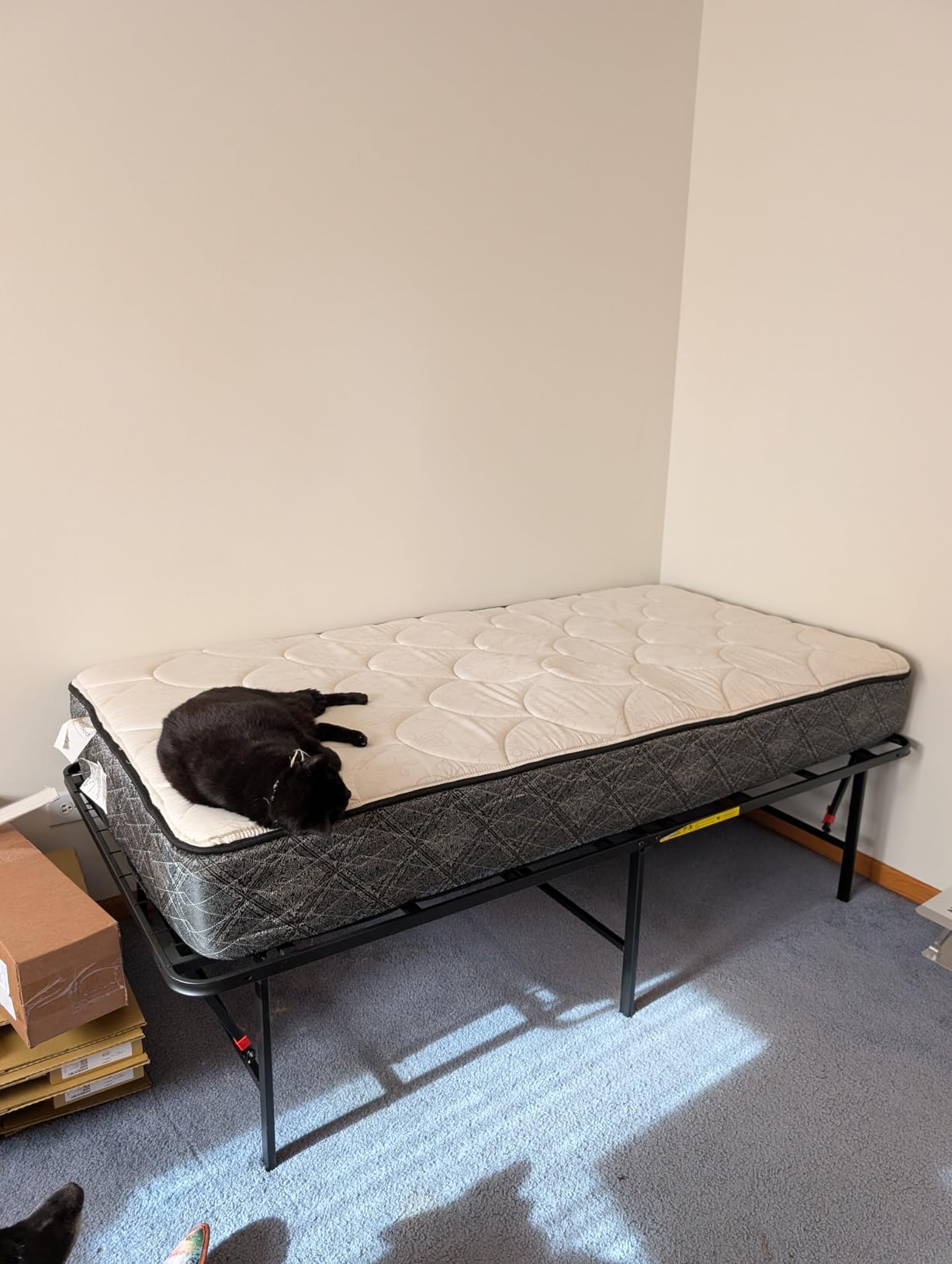 Amazon Basics Foldable Metal Platform Bed Frame, Noise-Free Mattress Foundation with Tool-Free Assembly, 18 Inches High, Sturdy Steel Frame, No Box Spring Needed, Twin Size, Black customer photo 1