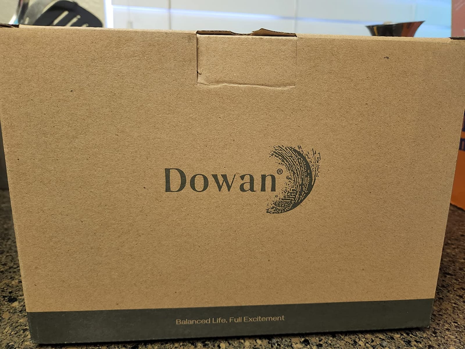 DOWAN 32 OZ Large Soup Bowls Set of 4 - White Ceramic Bowls for Kitchen, Deep Bowls for Cereal, Salad, Pasta, Fruits, Ramen, Dishwasher & Microwave Safe customer photo 1