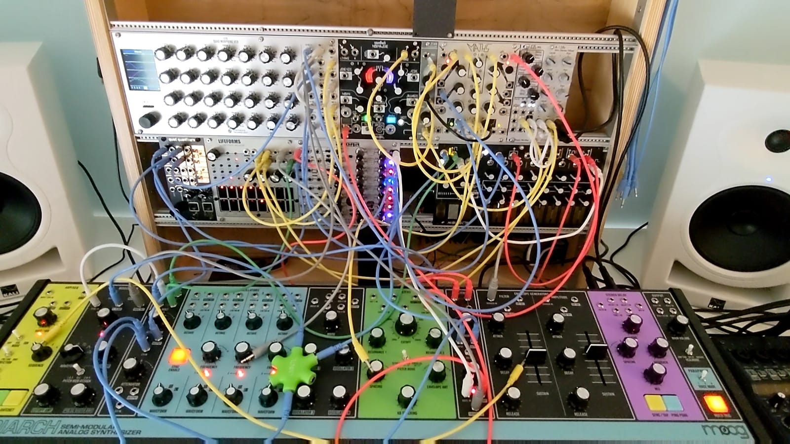 MOOG Matriarch Paraphonic Analog Synthesizer | 4-Note Patchable Synth with Keyboard, Sequencer, Arpeggiator, Stereo Ladder Filters, Stereo Analog Delay customer photo 1