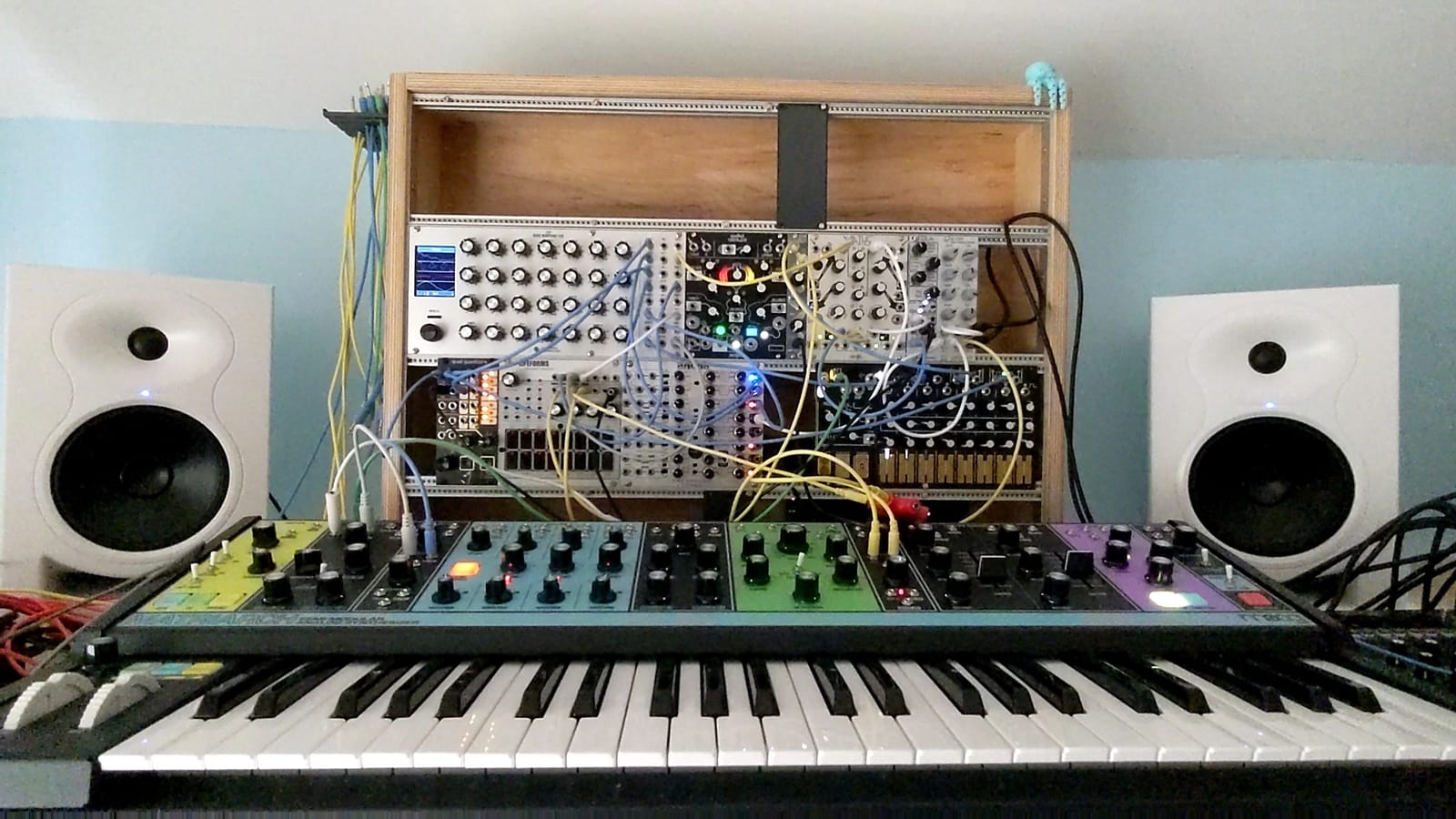 MOOG Matriarch Paraphonic Analog Synthesizer | 4-Note Patchable Synth with Keyboard, Sequencer, Arpeggiator, Stereo Ladder Filters, Stereo Analog Delay customer photo 2