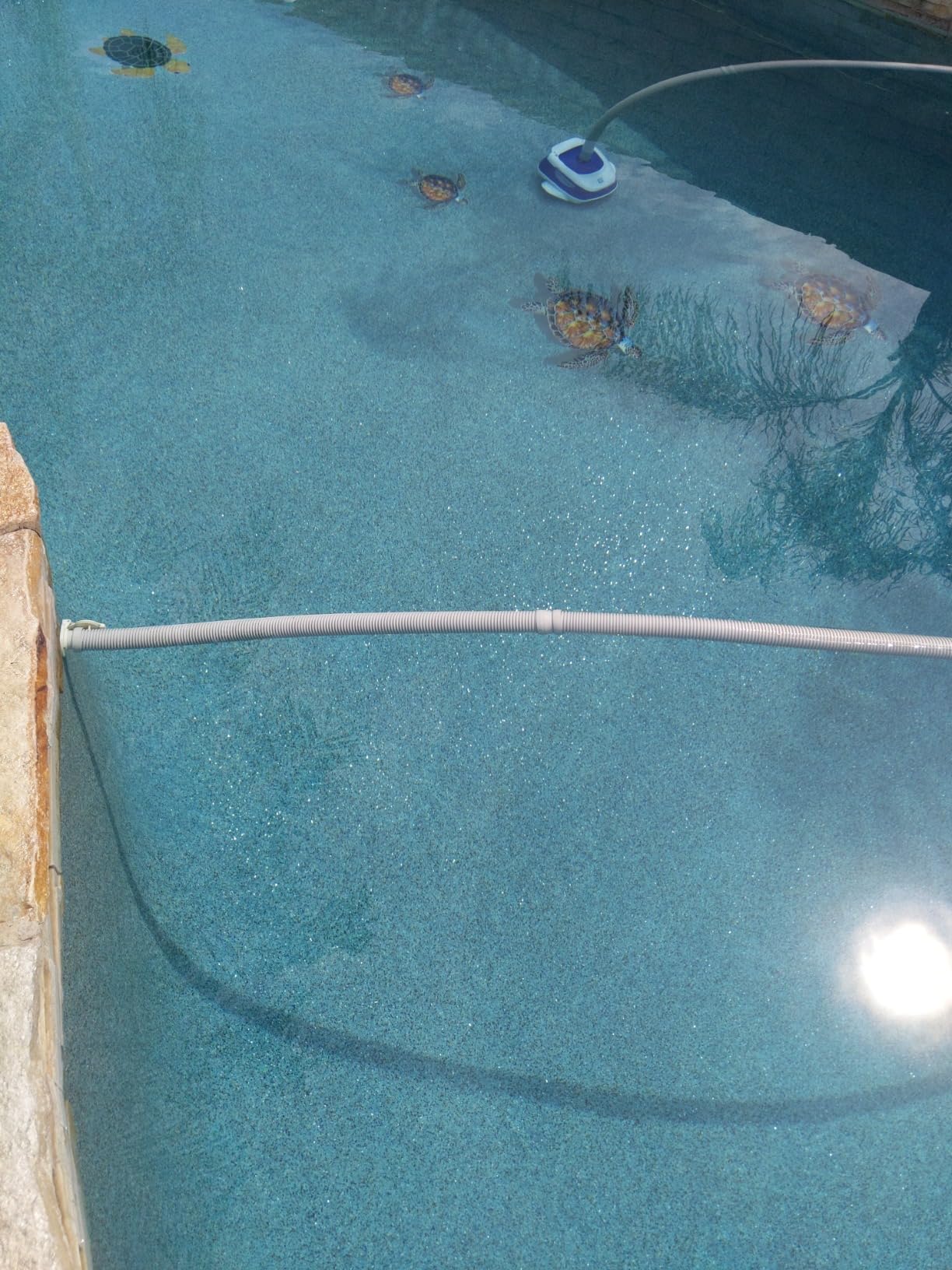Hayward Pool Vacuum Navigator Pro Automatic Pool Vacuum for Inground Pools (Pool Cleaner for Gunite Surfaces up to 20 x 40 ft) W3925ADC Same as 925ADC customer photo 2