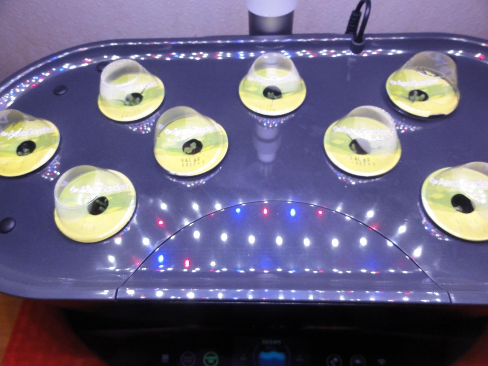 AeroGarden Bounty, Black - Indoor Garden with LED Grow Light, WiFi and Alexa Compatible customer photo 1