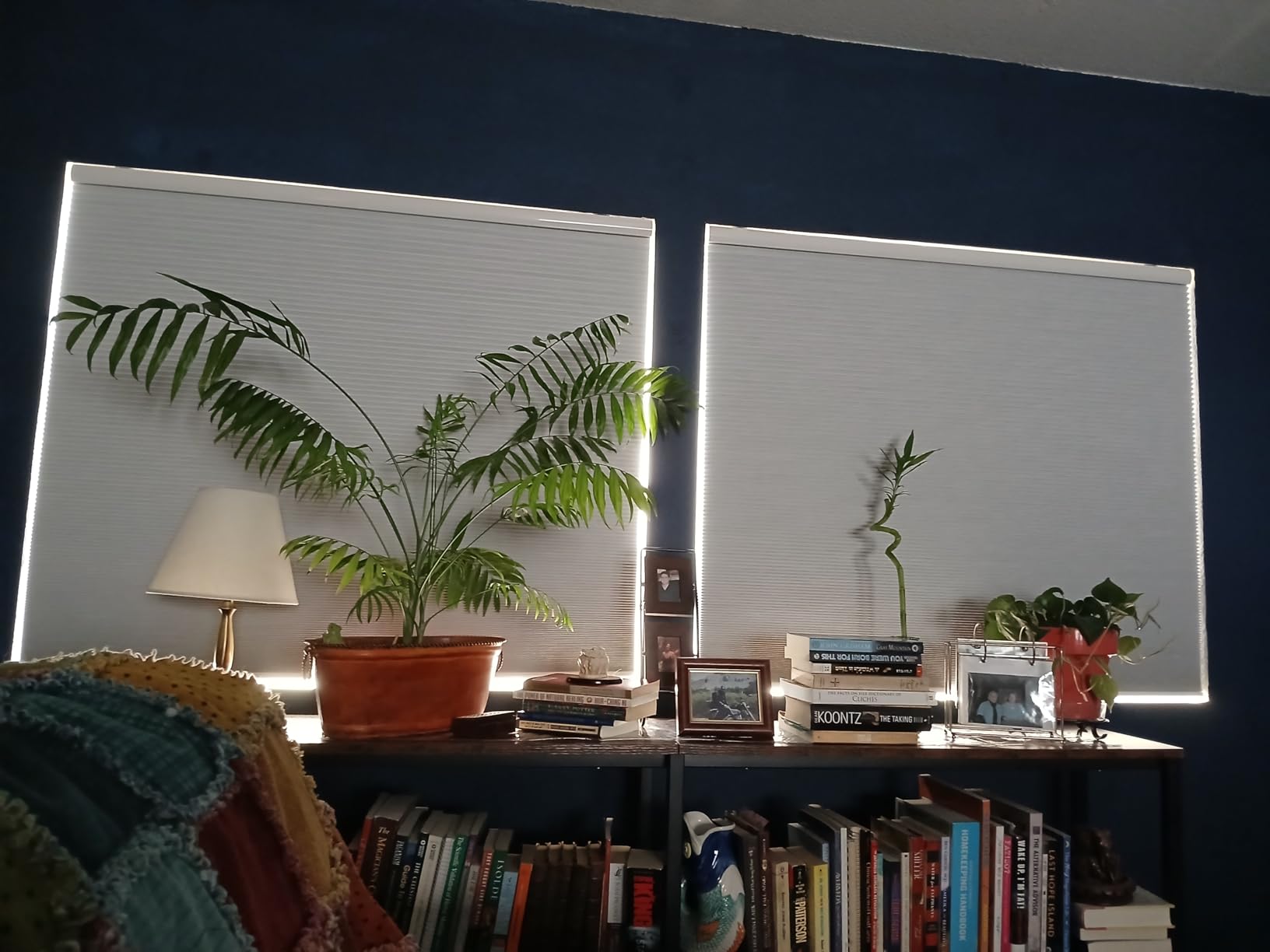 Grandekor Cordless Blackout Cellular Shades for Windows, Honeycomb Blinds | Honeycomb Shades Create a Darker Room for Better Sleep and Privacy | Cordless Design Fits Bedroom, Living Spaces | White 34W x 64H customer photo 1