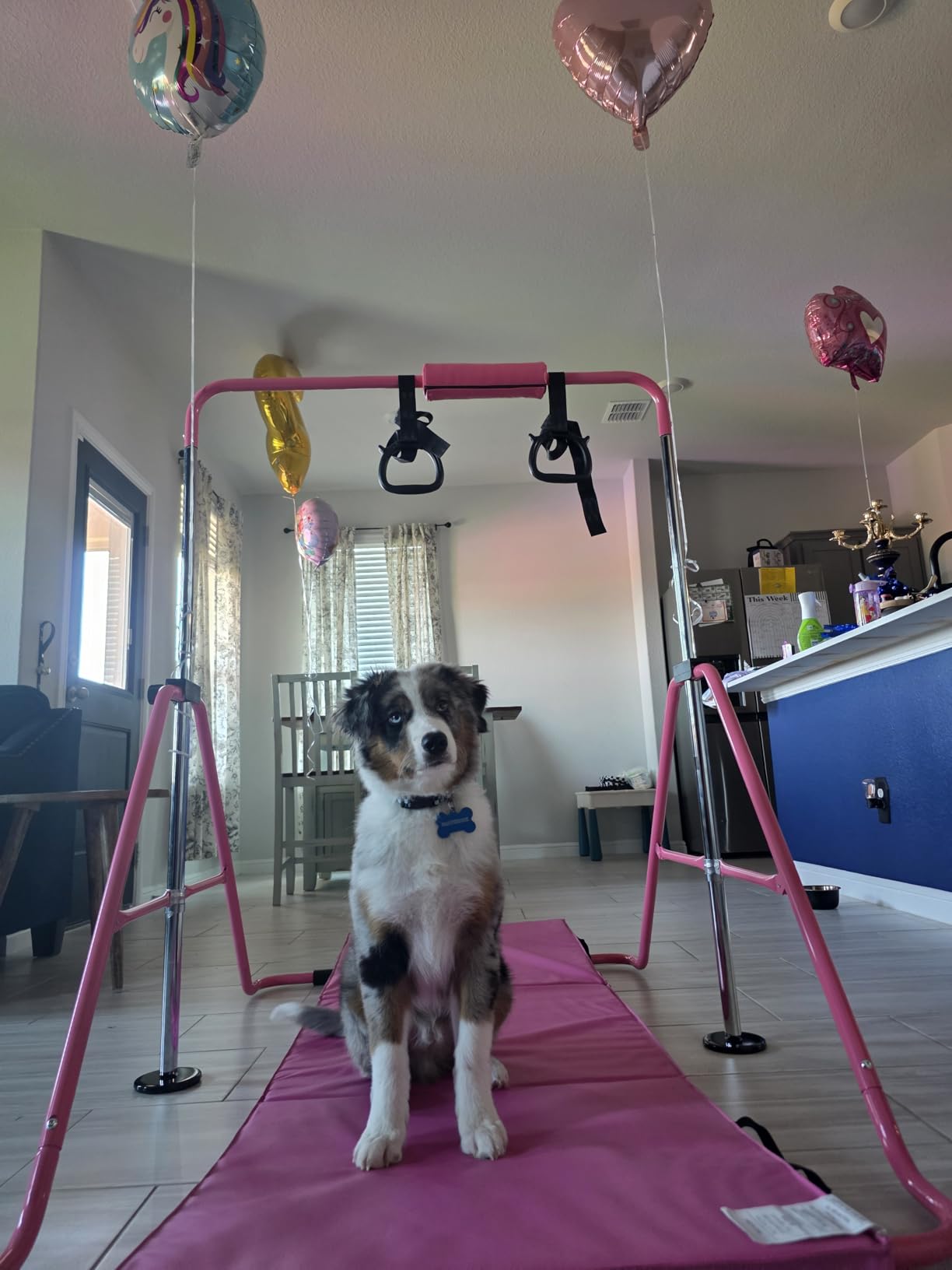 Gymnastic Bars for Kids, Adjustable Height Horizontal Bar for Home | 5-Height 35
