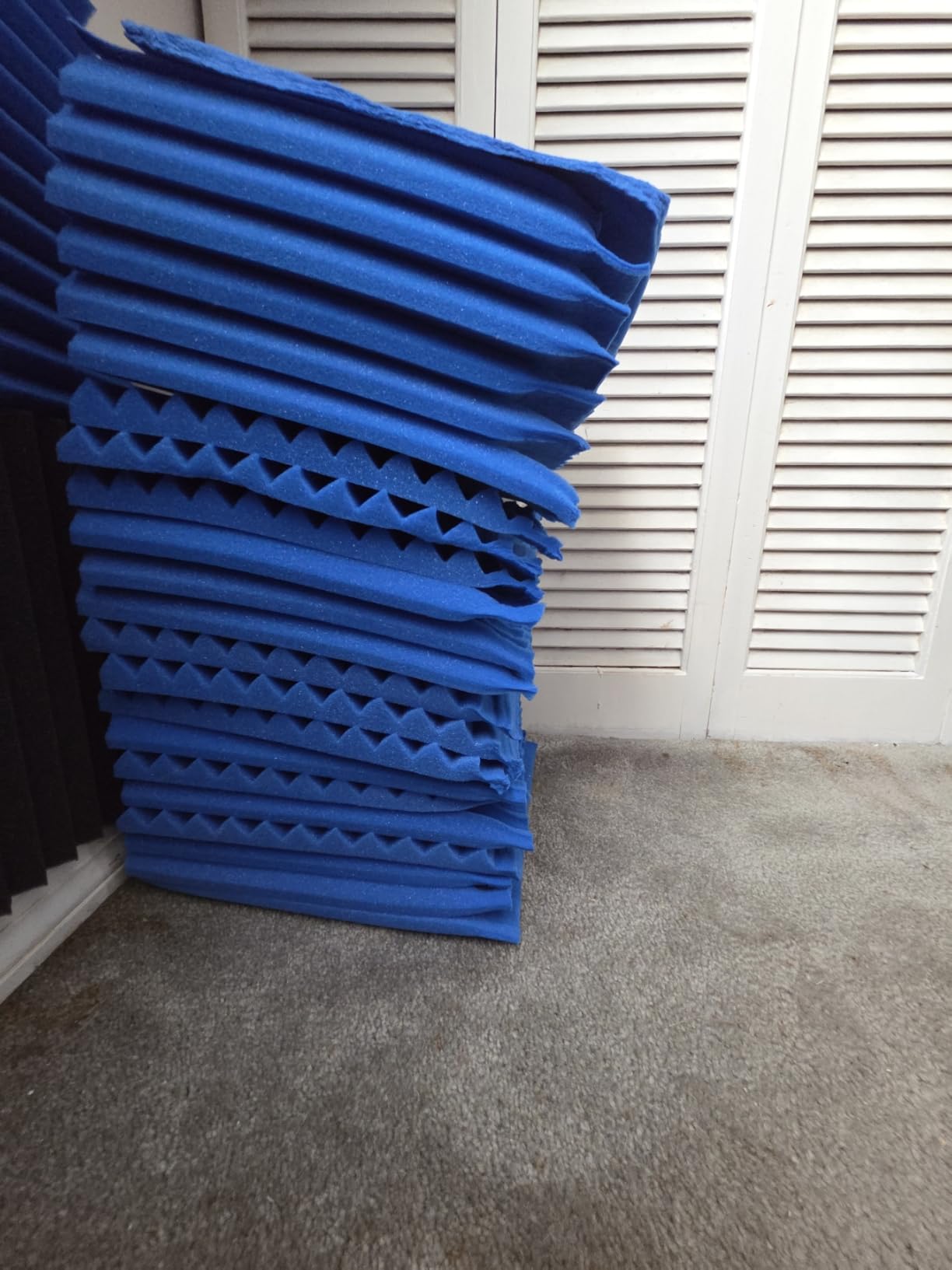 96 Pack Black/BLUE 12