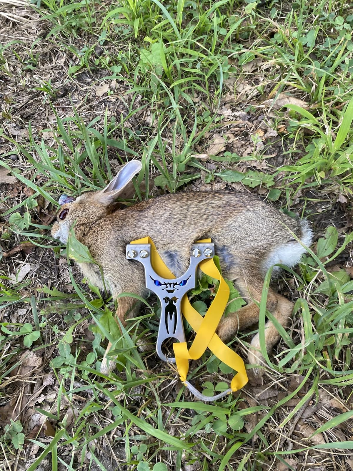 Professional Hunting Slingshot, 304 Stainless Steel High Velocity Catapult with 1mm Rubber Band, 5 Aim Points for Outdoor Target Shooting, Hunting, Self-Defense customer photo 1