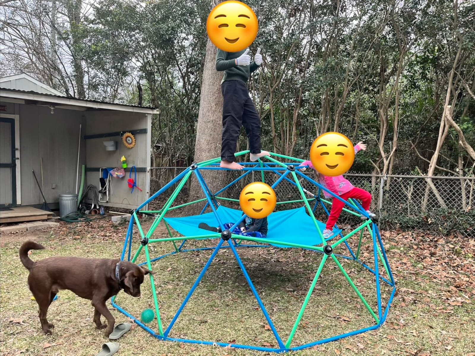 Zupapa 10FT Climbing Dome, Outdoor Jungle Gym for Kids with Climbing Grip - Geometric Dome Climber Supports 1000LBS Outdoor Playset and Easy Assembly Outdoor Play Equipment for Kids (Blue, 10FT) customer photo 1