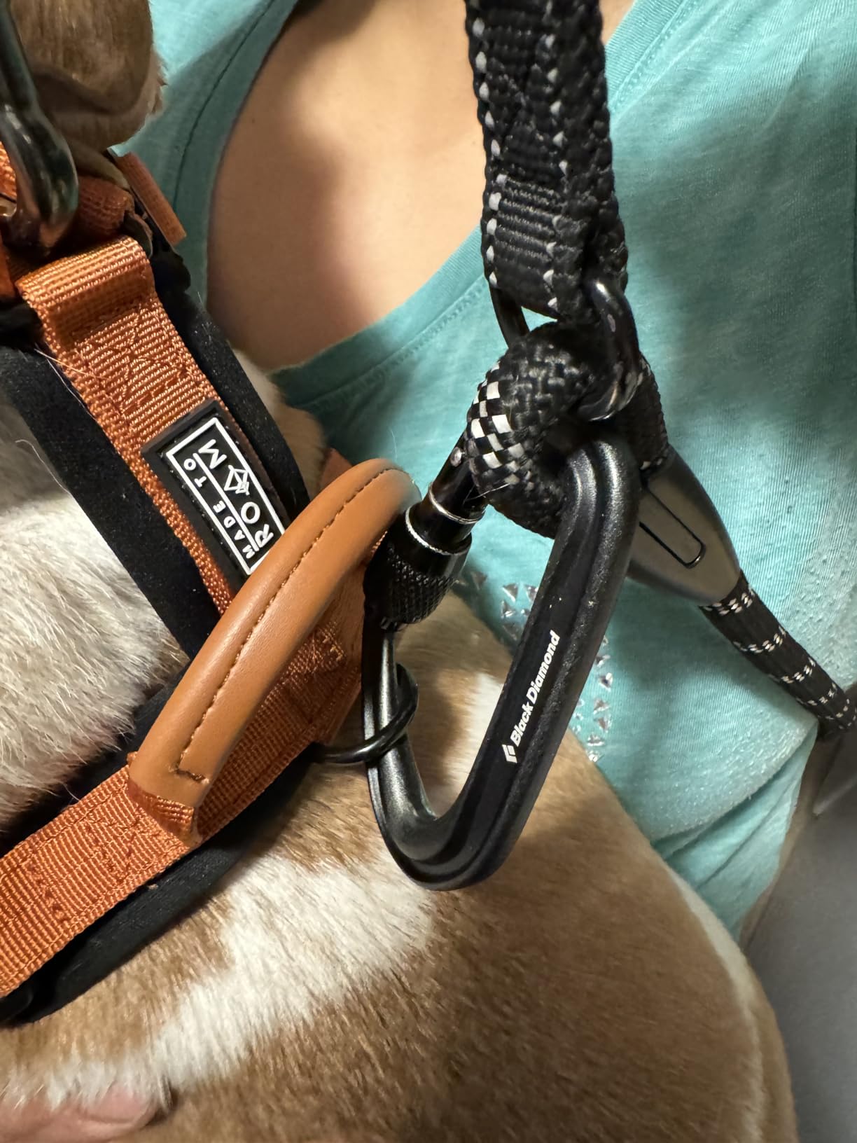 BLACK DIAMOND Hotforge Lightweight Aluminum Locking Screwgate Carabiner customer photo 2