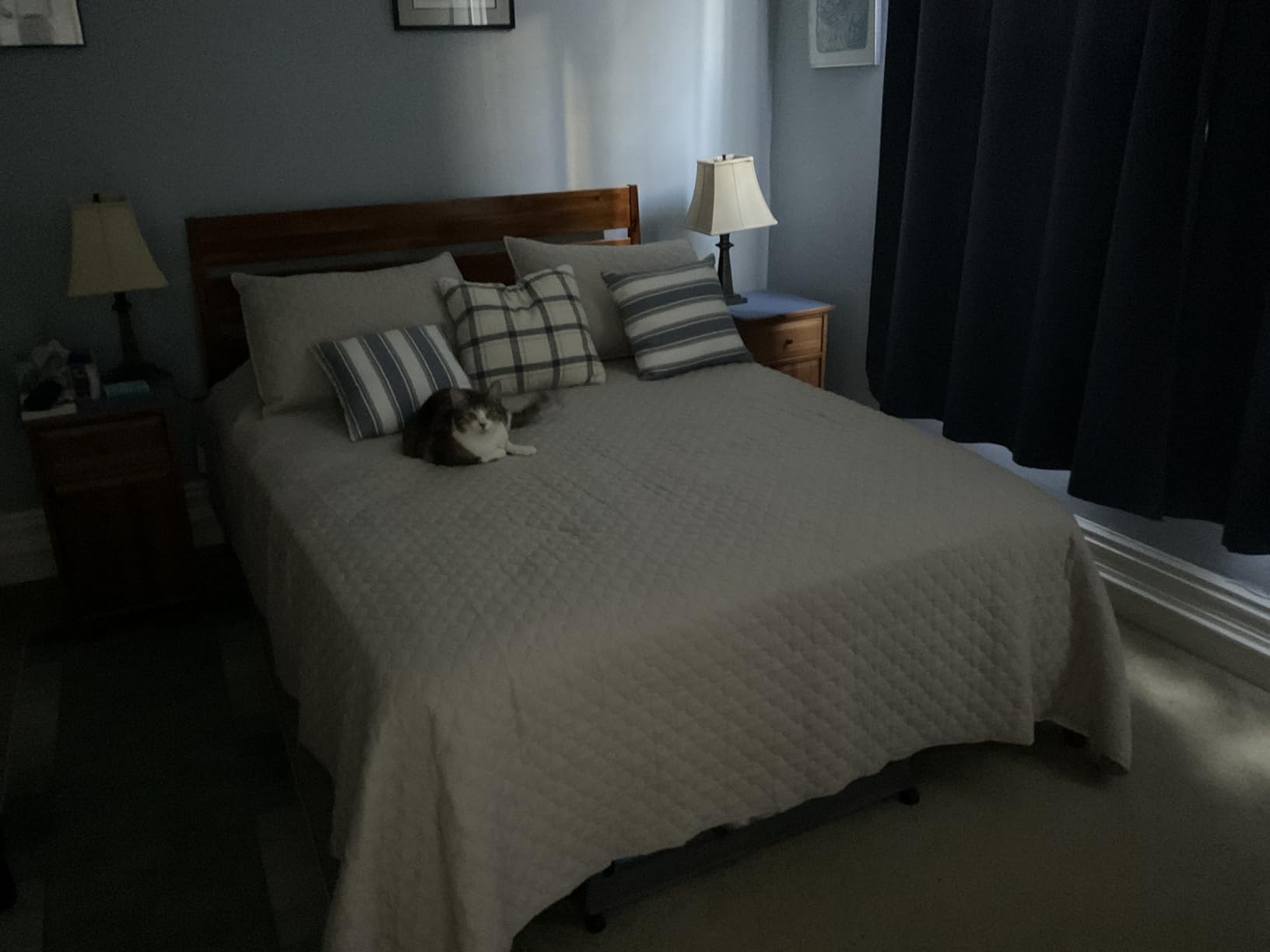 HORIMOTE HOME Quilt Set Queen Size Navy Blue, Classic Geometric Diamond Stitched Pattern, Ultra Soft Microfiber Lightweight Bedding Bedspread Coverlet for All Season with 1 Quilt 2 Pillow Shams customer photo 1