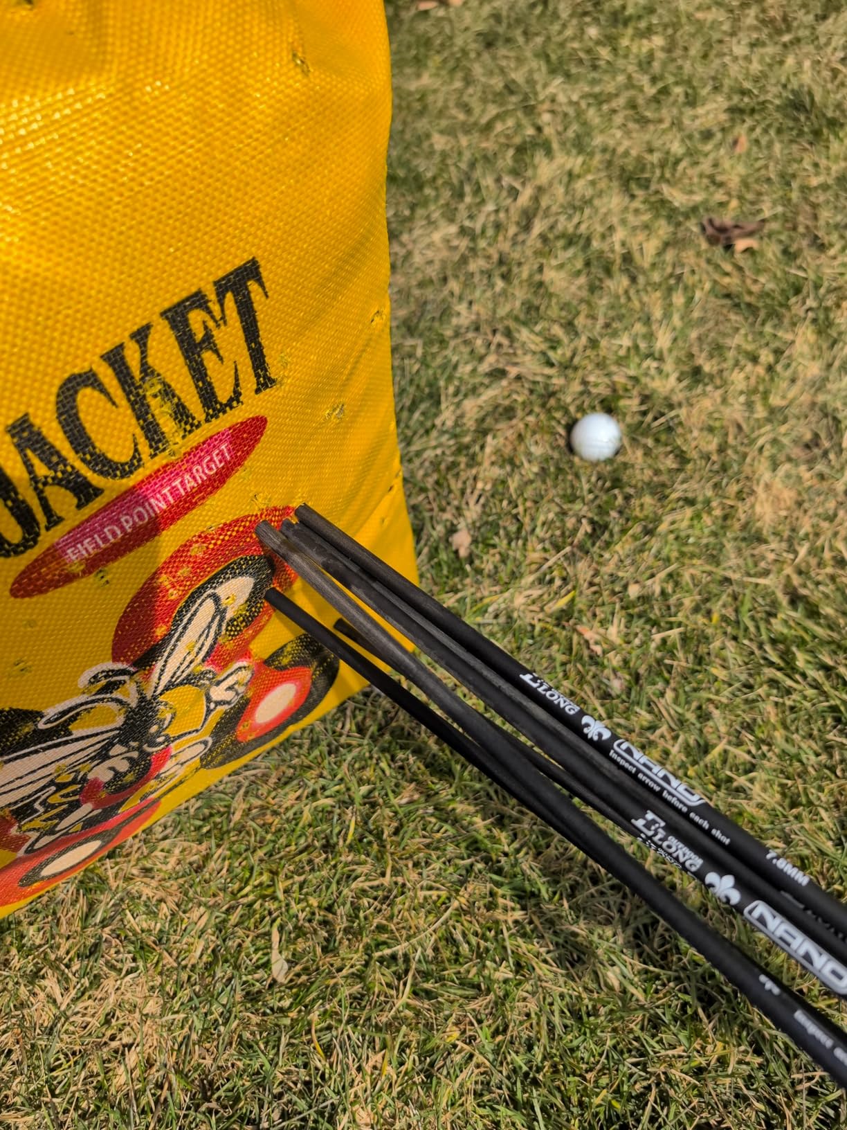 Carbon Arrow Hunting Arrows with 100 Grain Removable Tips for Archery Compound & Recurve & Traditional Bow Practice Shooting (Pack of 12) customer photo 1