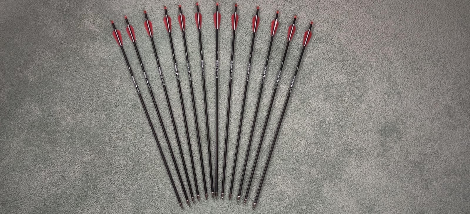 Carbon Arrow Hunting Arrows with 100 Grain Removable Tips for Archery Compound & Recurve & Traditional Bow Practice Shooting (Pack of 12) customer photo 2