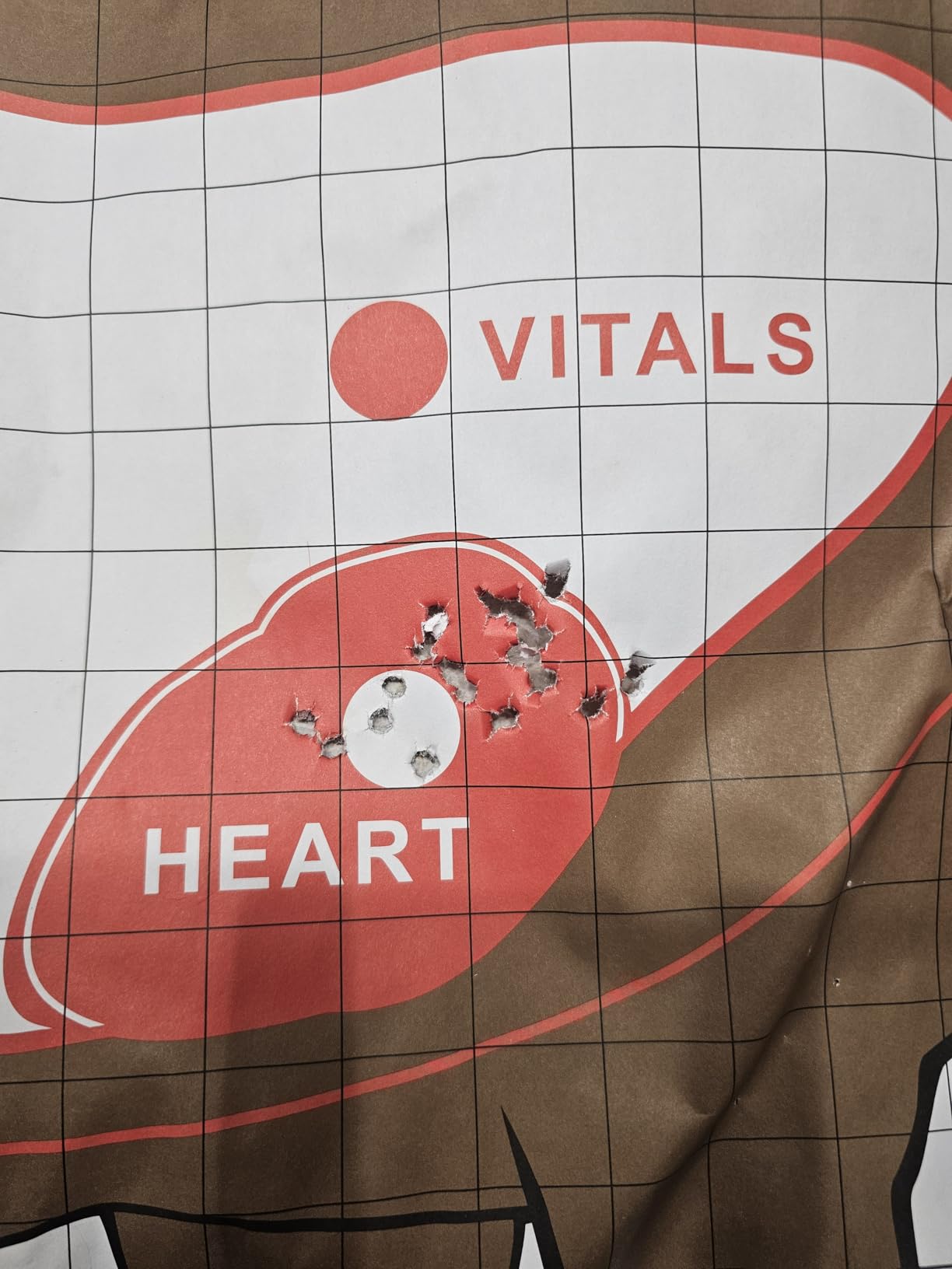 Gamo Swarm Magnum 10X GEN3i Break Barrel Pellet Air Rifle .22 Cal - IGT Mach 1 Power, 10-Shot Magazine customer photo 1