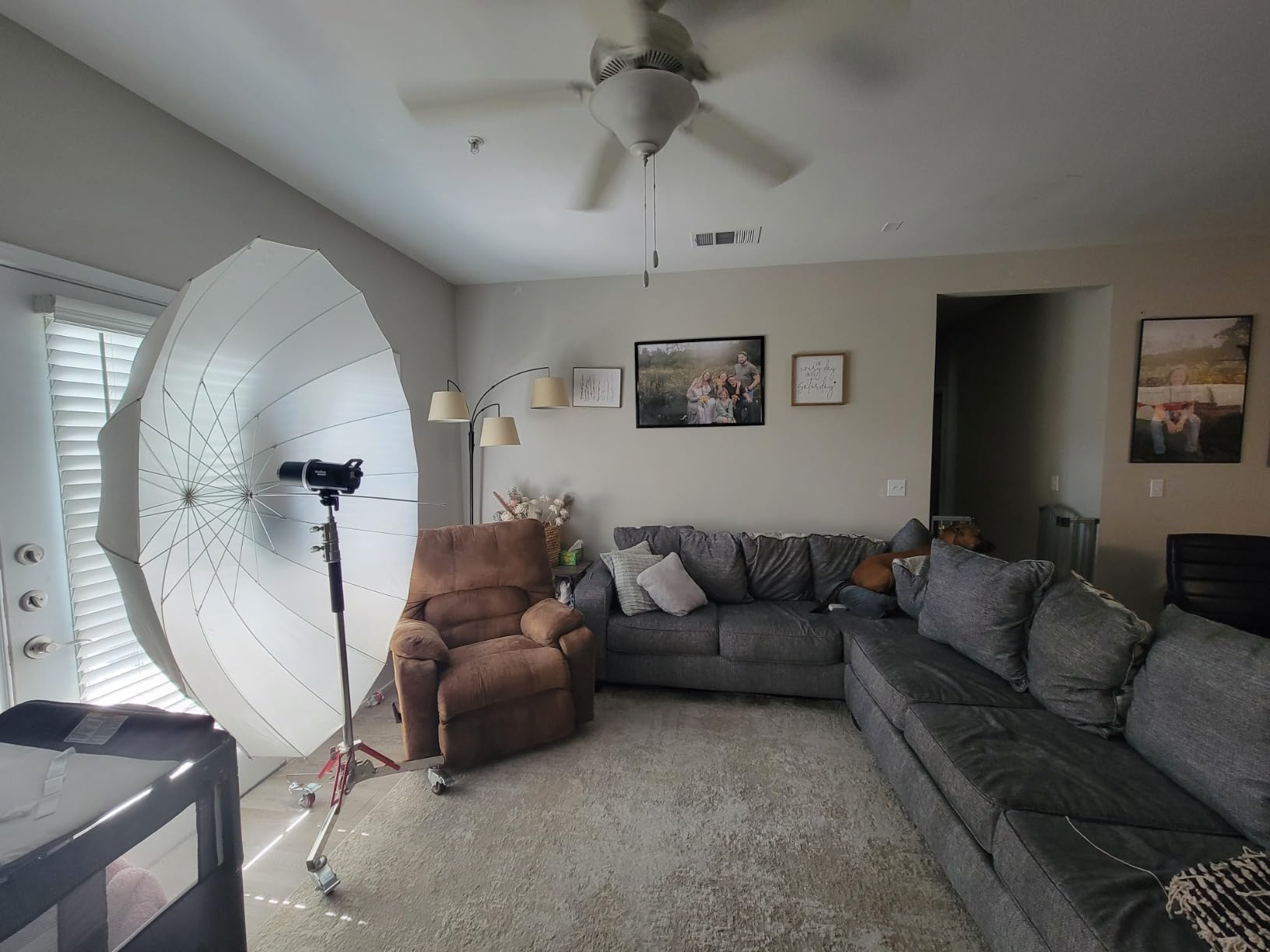NEEWER Heavy Duty Light Stand with Casters, 100% Stainless Steel Tripod | Adjustable, Photography Wheeled Base Stand, for Studio Softbox, Monolight, Reflector, Max Height: 10ft/305cm customer photo 2