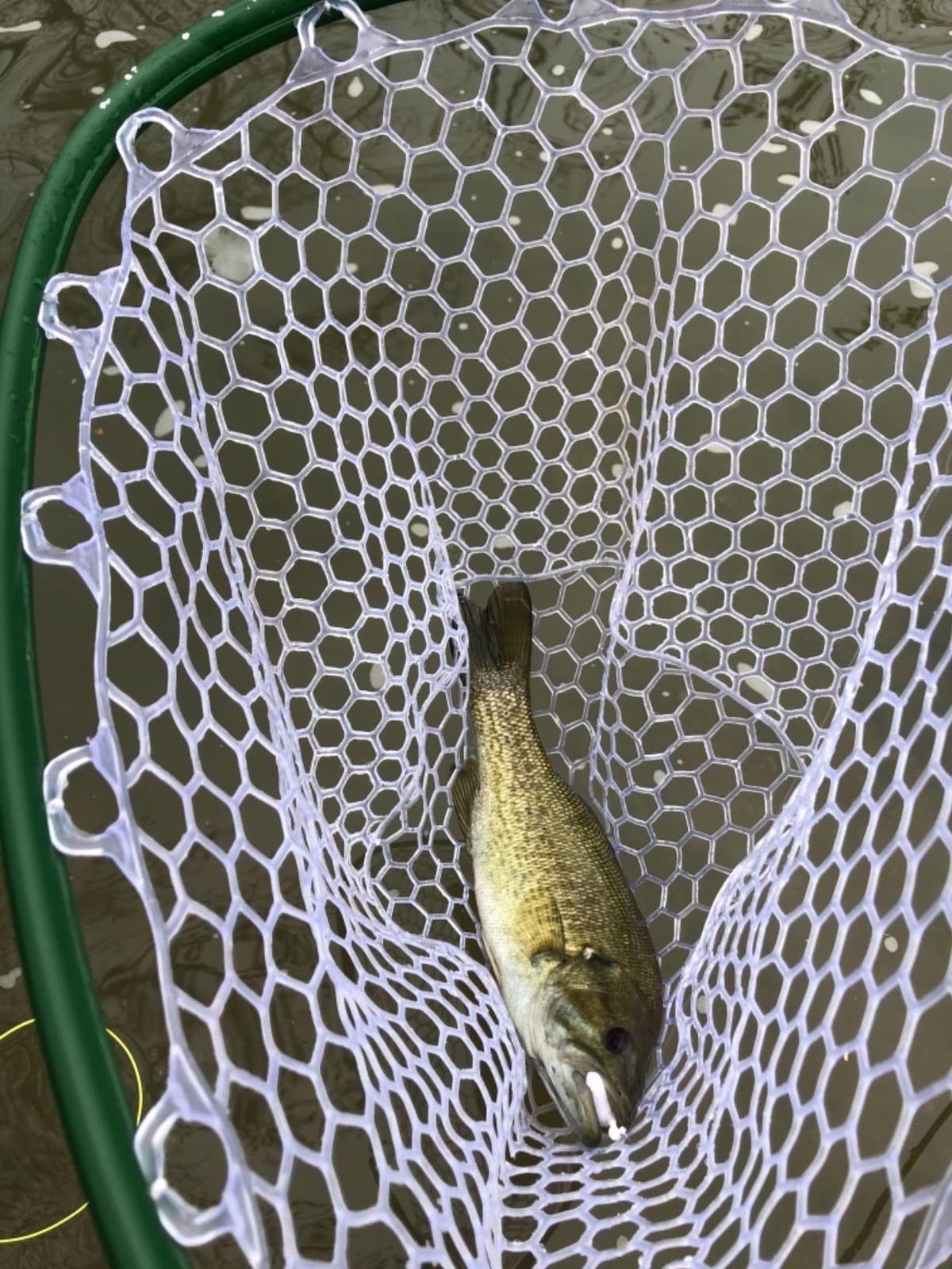 Aventik Fly Floating Fishing Net Carbon Fiber Landing Trout Net Light Weight Clear Rubber Ghost Net Catch & Release customer photo 2