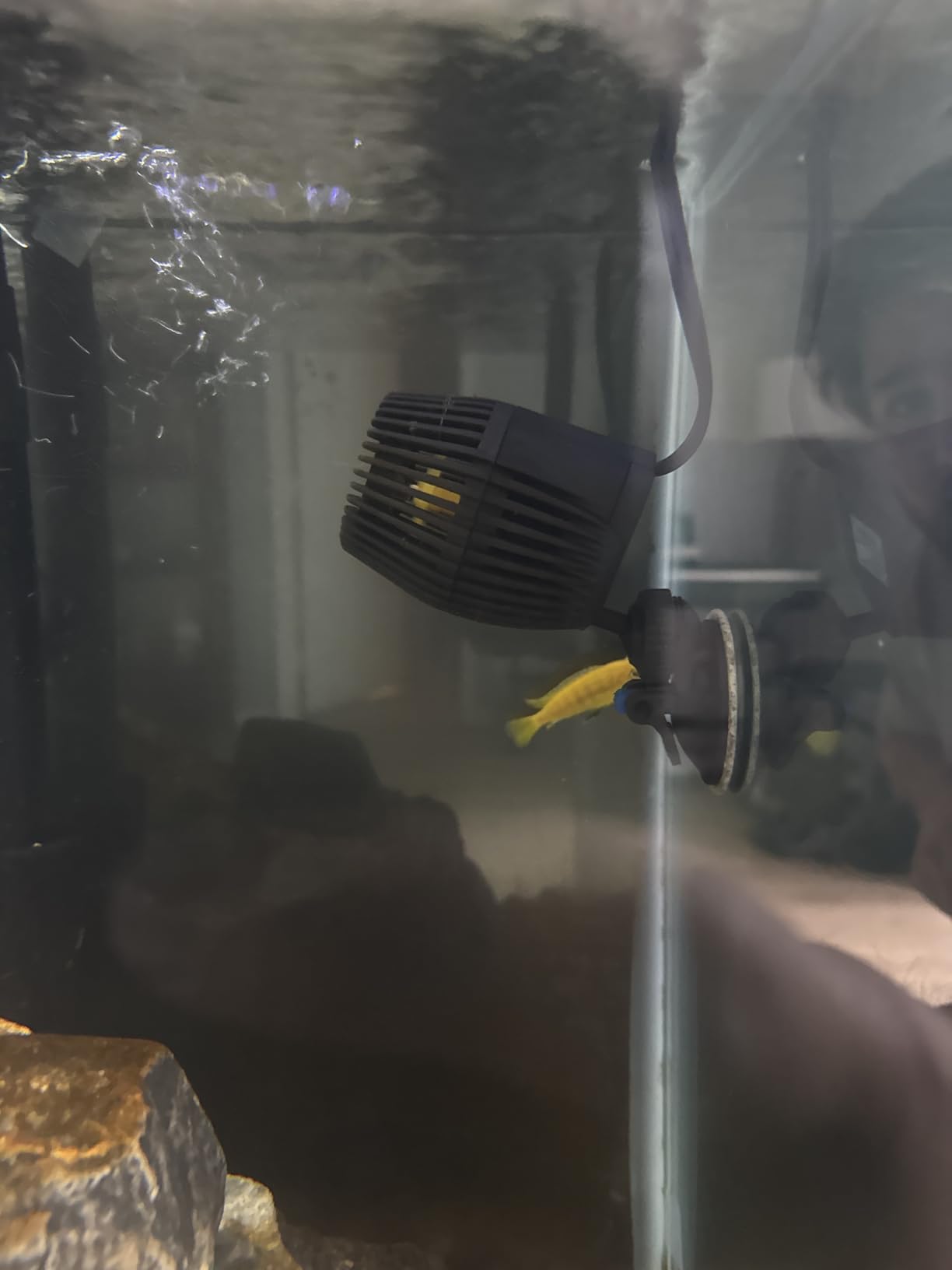 AQUANEAT Circulation Pump, 800GPH Aquarium Wave Maker, Fish Tank Powerhead Submersible Water Pump with Suction Cup customer photo 2