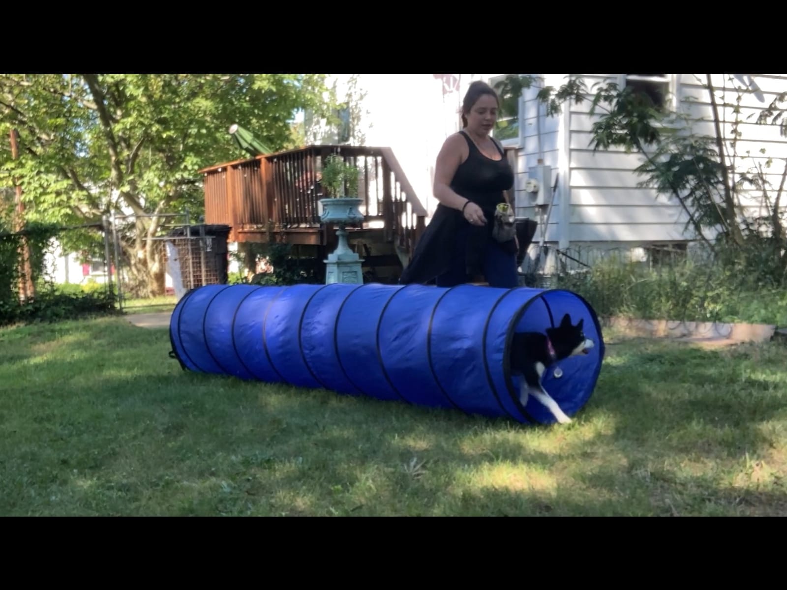Agility Course Backyard Set - 7pc | Indoor and Outdoor, 3 Jumps, 2 Tunnels with Sandbags, Weave Poles, Dog Agility Training Equipment customer photo 1