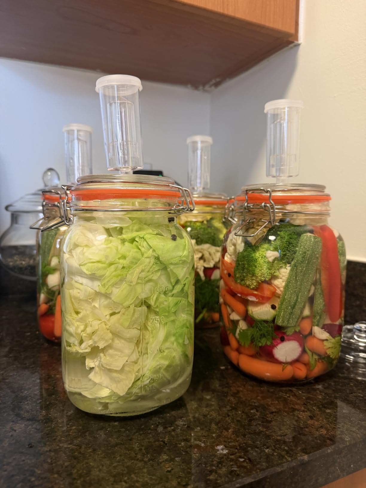JILLMO 2L Wide Mouth Fermentation Jar with Airlock & Weight, 2 Pack | Fermentation Kit for Homemade Kimchi, Sauerkraut, Pickles and More customer photo 1