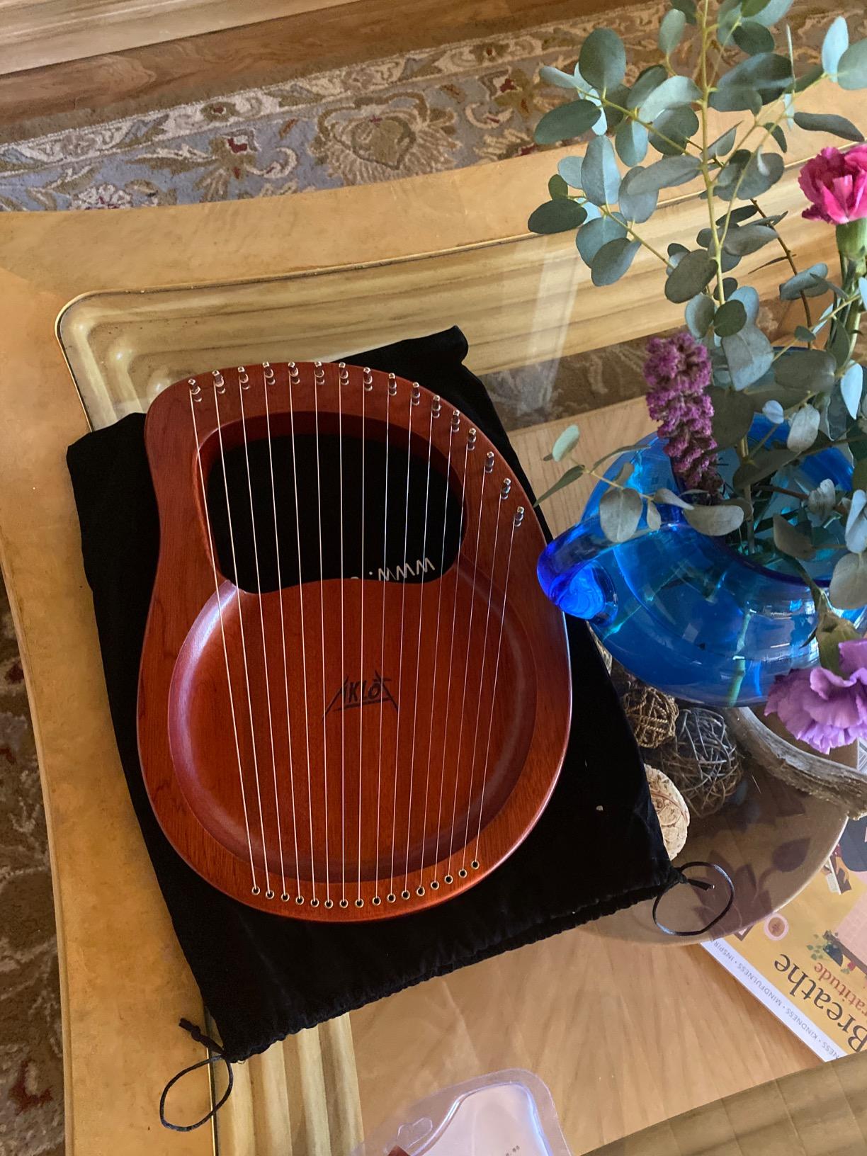 Lyre Harp, AKLOT 16 Metal Strings Mahogany Body Lyra Harp with Maple Saddle Carved Note Tuning Wrench Pickup Strings and Black Gig Bag customer photo 1