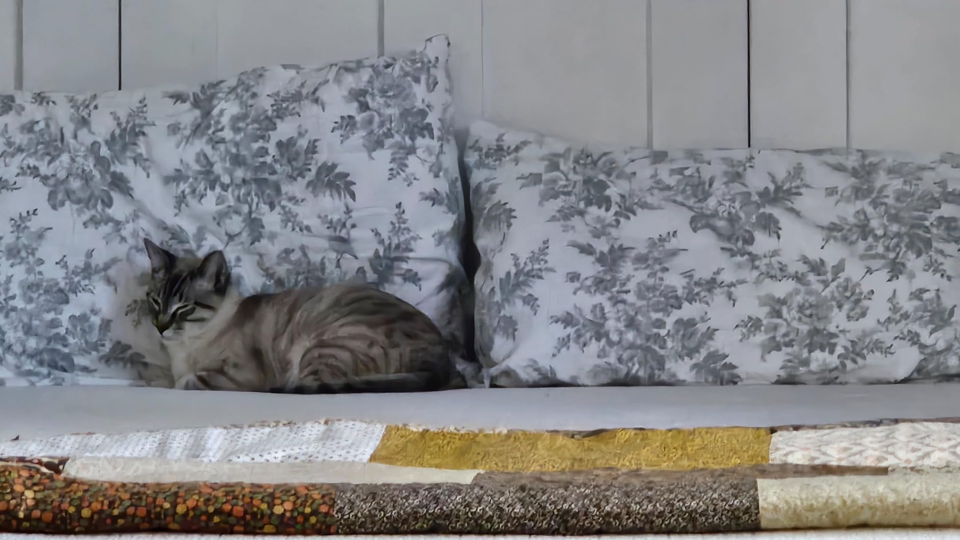 Laura Ashley - Flannel Sheets Queen Size, Anti-Pilling & Wrinkle Resistant Cotton, Touchably Soft for All-Season Comfort - Bed Sheets with Matching Pillowcases & Fitted Sheet (Fawna Grey) customer photo 2