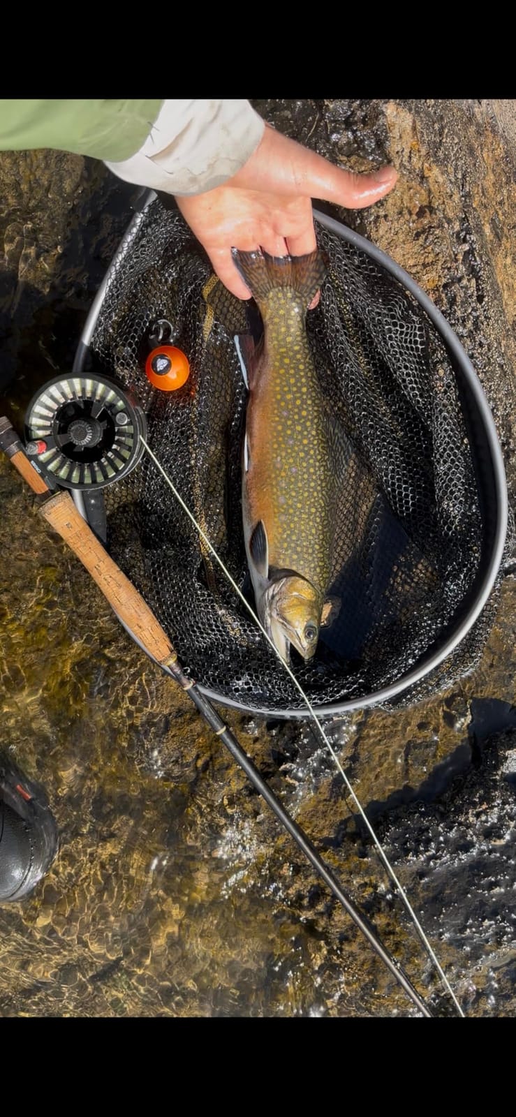 Frabill Floating Trout Net customer photo 1
