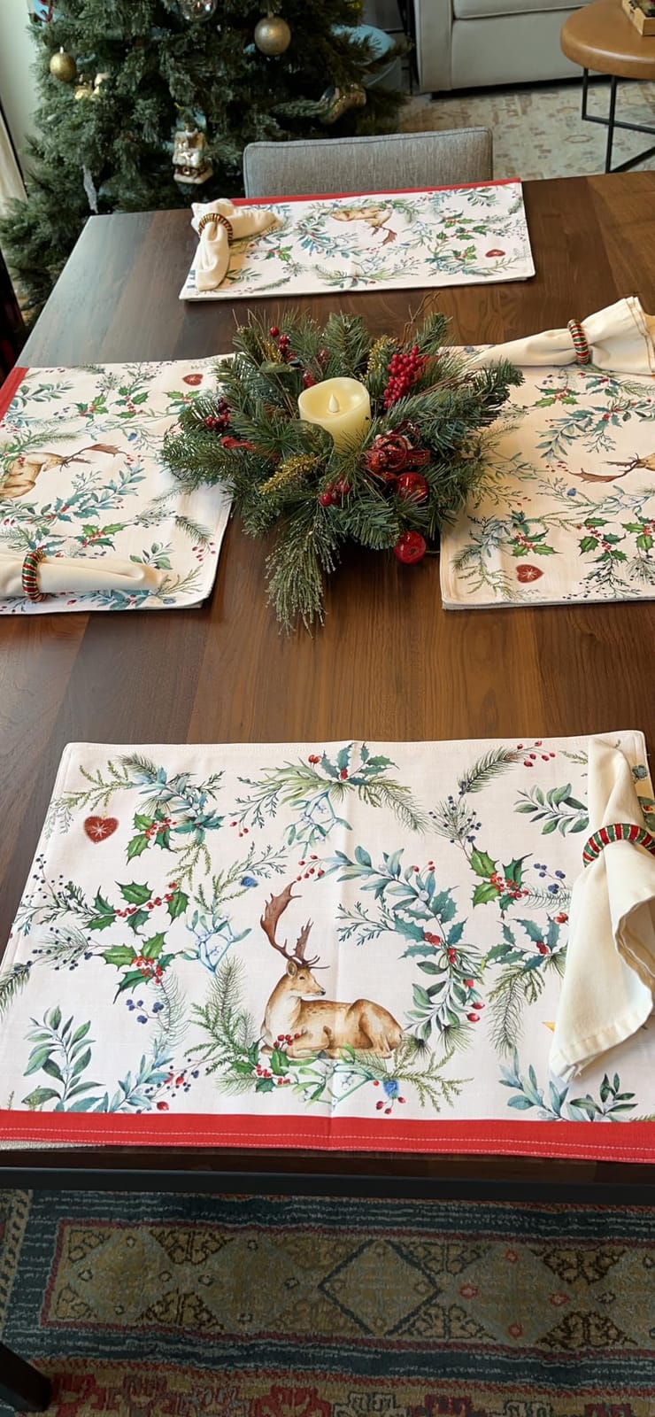 Maison d' Hermine Placemats Set of 4 Reusable 100% Cotton (13