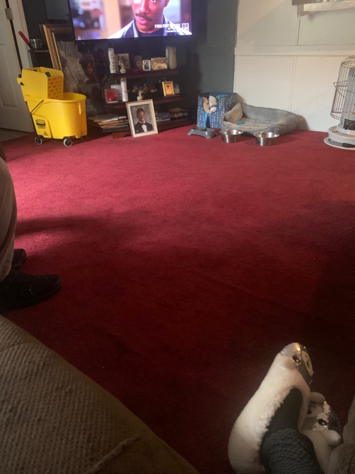 Prolux Core Heavy Duty 15 inch Floor Buffer Scrubber and Polisher Cleaning Machine - All floor surfaces customer photo 2