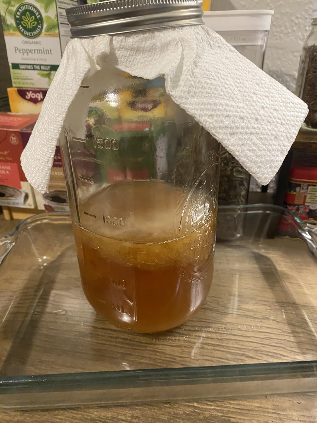 Organic SCOBY Kombucha Starter Kit with Live Culture for Brewing Kombucha Tea - Urban Kitchen customer photo 1