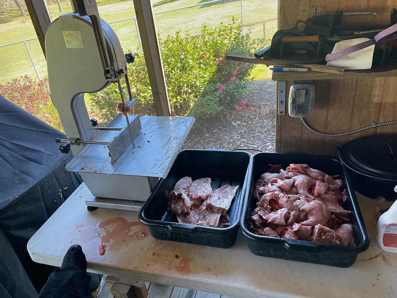 1500W Electric Bone Saw Machine, 0.8-5.9 Inch Cutting Thickness,2.6HP Frozen Meat Cutter 110V Commercial Bandsaw Machine, 20x15in Table Sawing for Chicken Fish Trotter Beef, Equipped with 6 Saw Blades customer photo 1
